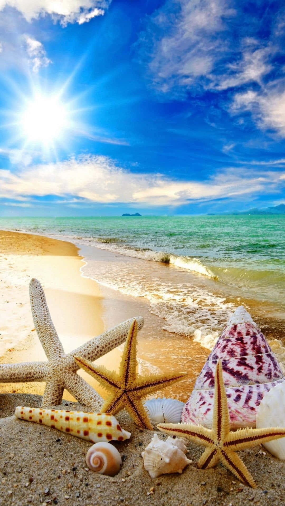Summer Beach iPhone, starfish, seashells, Full HD Phone Wallpaper