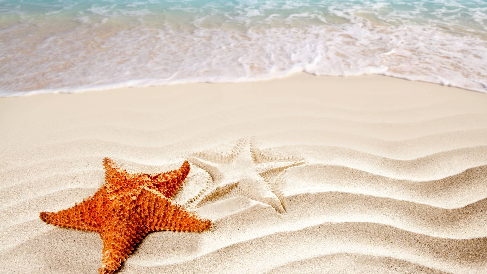 brown starfish, sand pattern, orange starfish, Full HD Desktop Wallpaper
