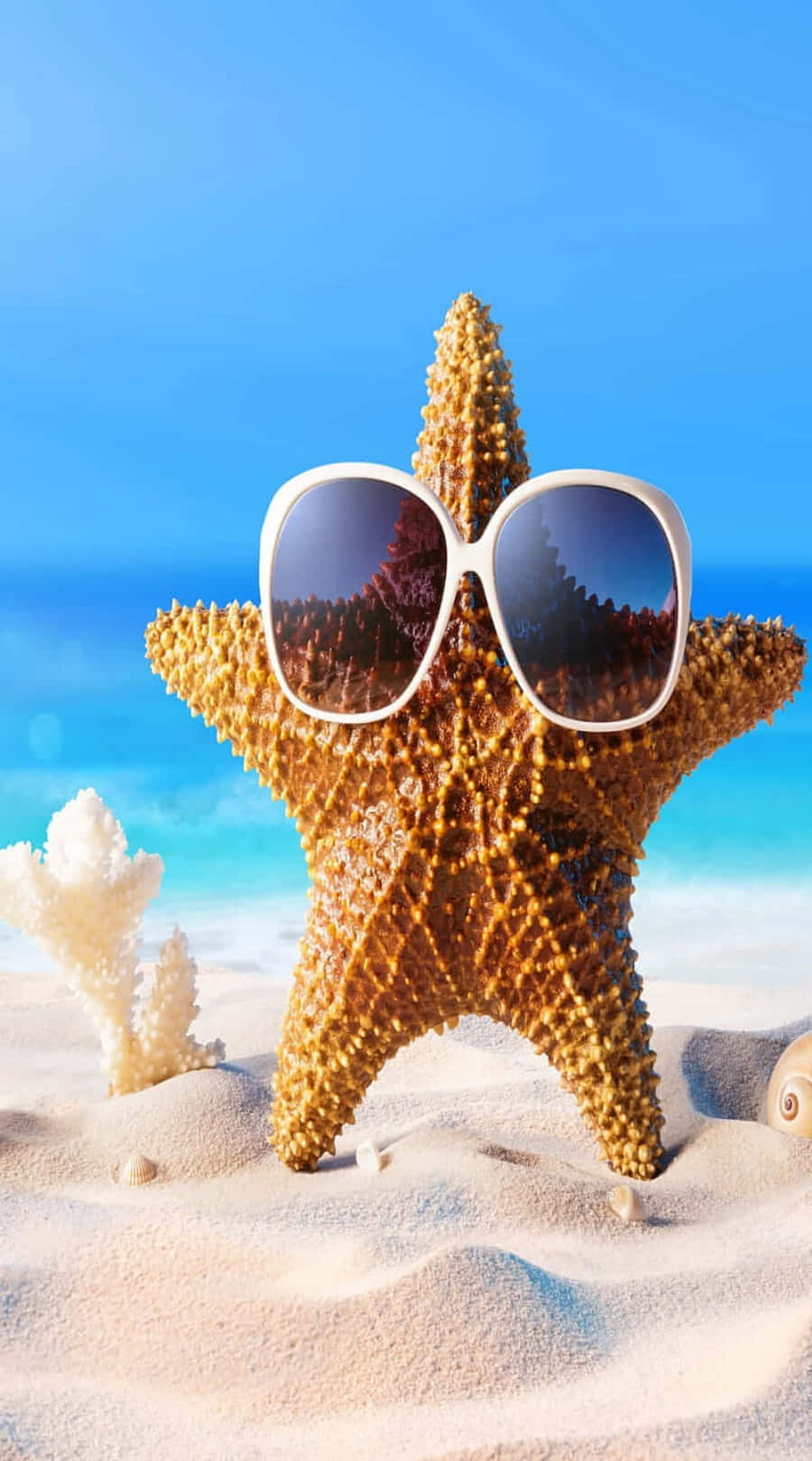 starfish, oversized white sunglasses, sandy beach, HD Phone Wallpaper