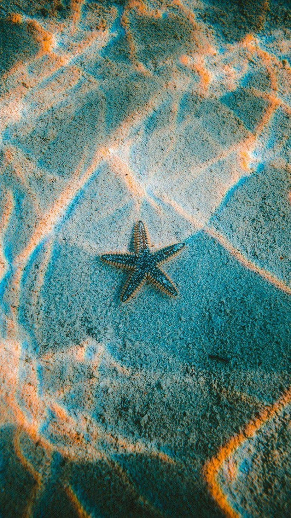Starfish, prism effect, sunlit sand, HD Phone Wallpaper