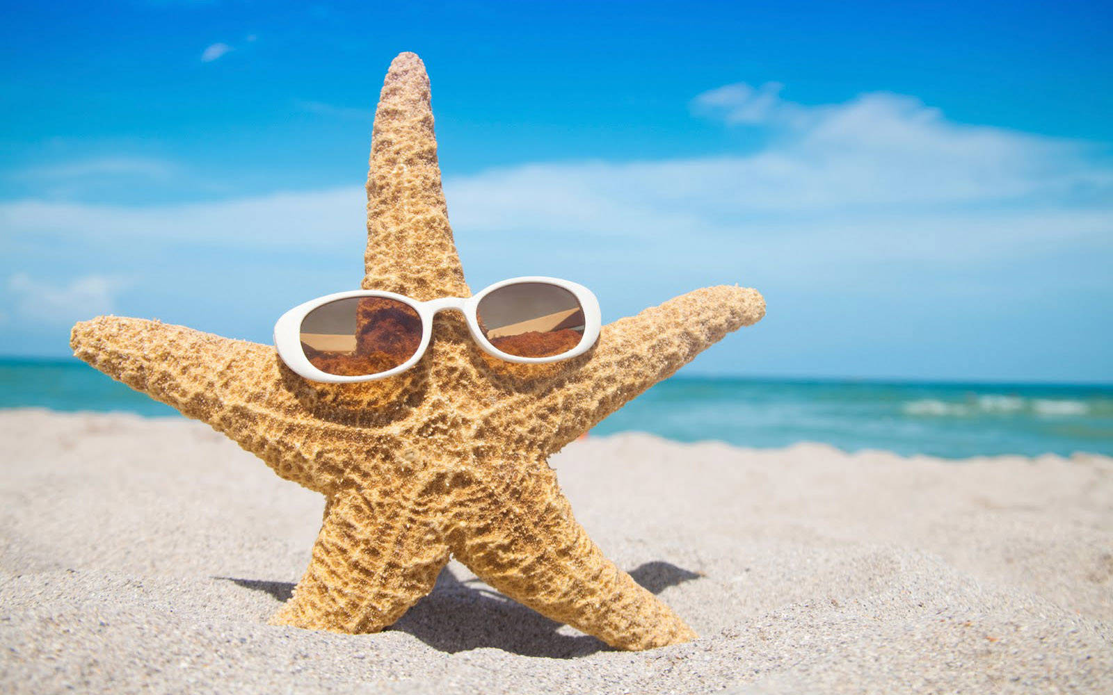 brown starfish, white sunglasses, sandy beach, HD Desktop Wallpaper