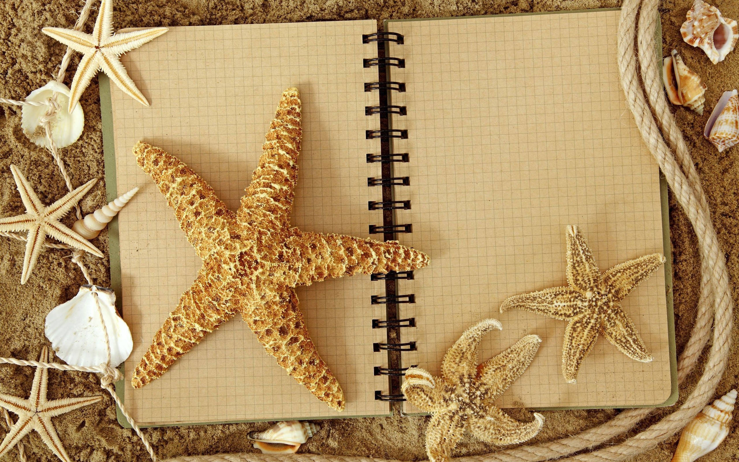 aesthetic brown starfish journal, spiral-bound notebook, sandy beach, 2K Desktop Wallpaper