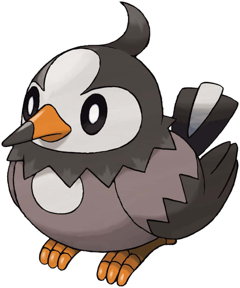 Starly, gray and white feathers, orange beak, SD Phone Wallpaper