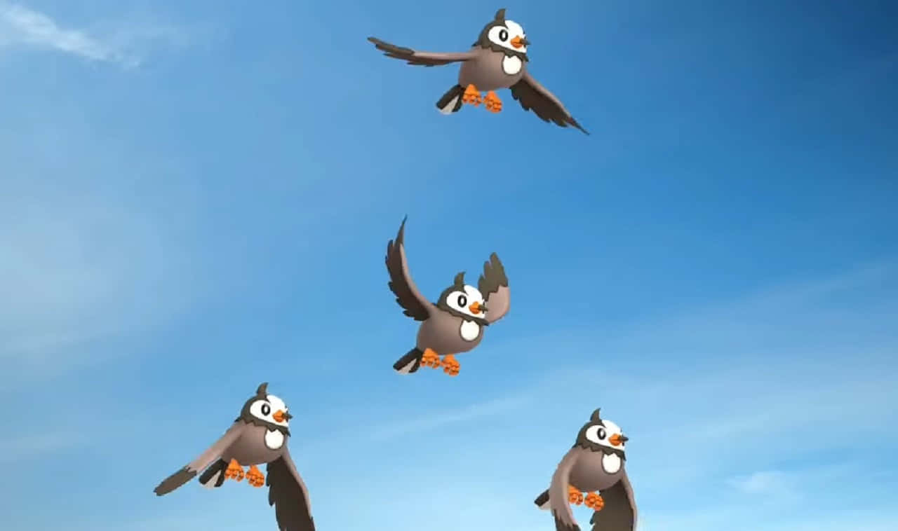 Starly, flock of Starly, orange feet, HD Desktop Wallpaper