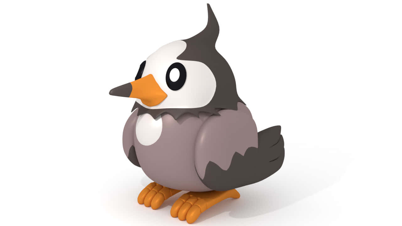 Starly, gray wings, white face, HD Desktop Wallpaper