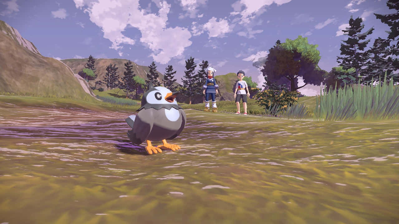 Starly, cartoon penguin, shallow water, HD Desktop Wallpaper