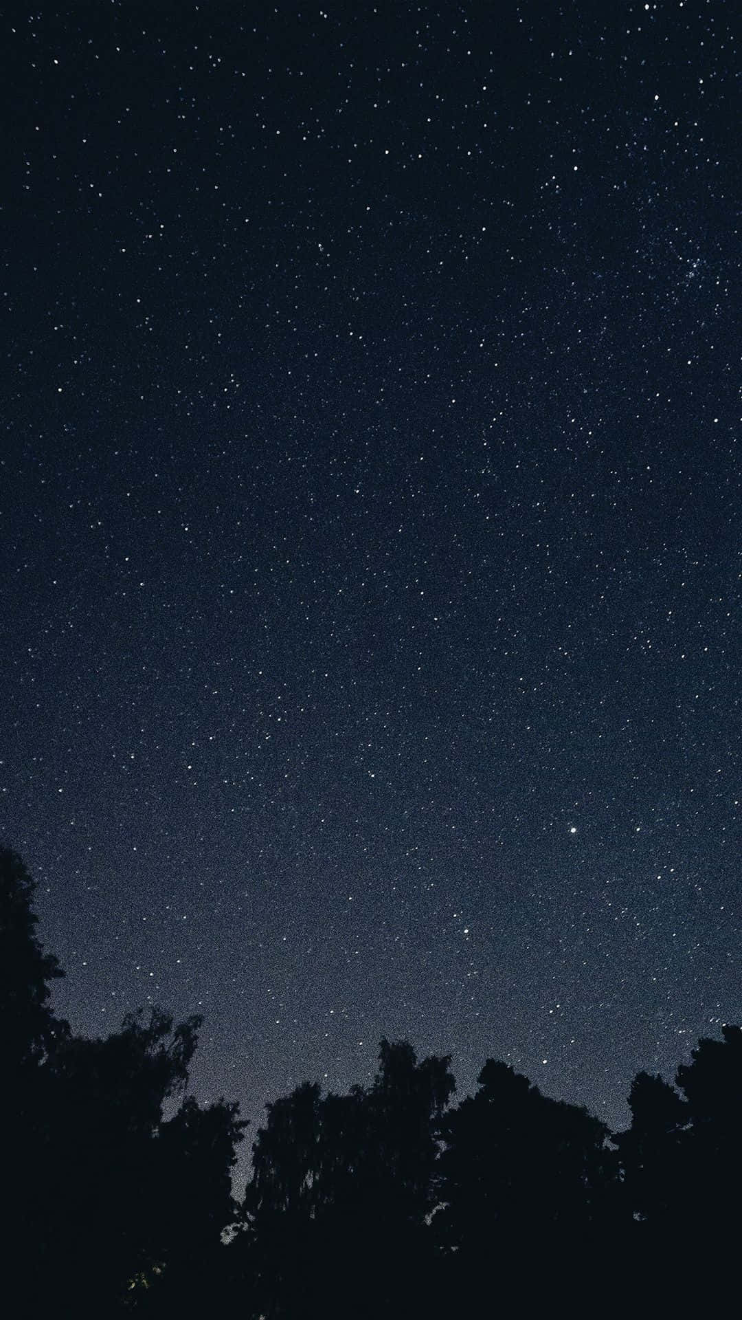 Starry Night Sky, star-filled night sky, dark silhouette of a forest canopy, Full HD Phone Wallpaper