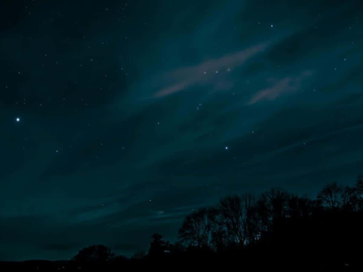 Starry Night Sky, faint aurora, silhouetted trees, SD Desktop Wallpaper