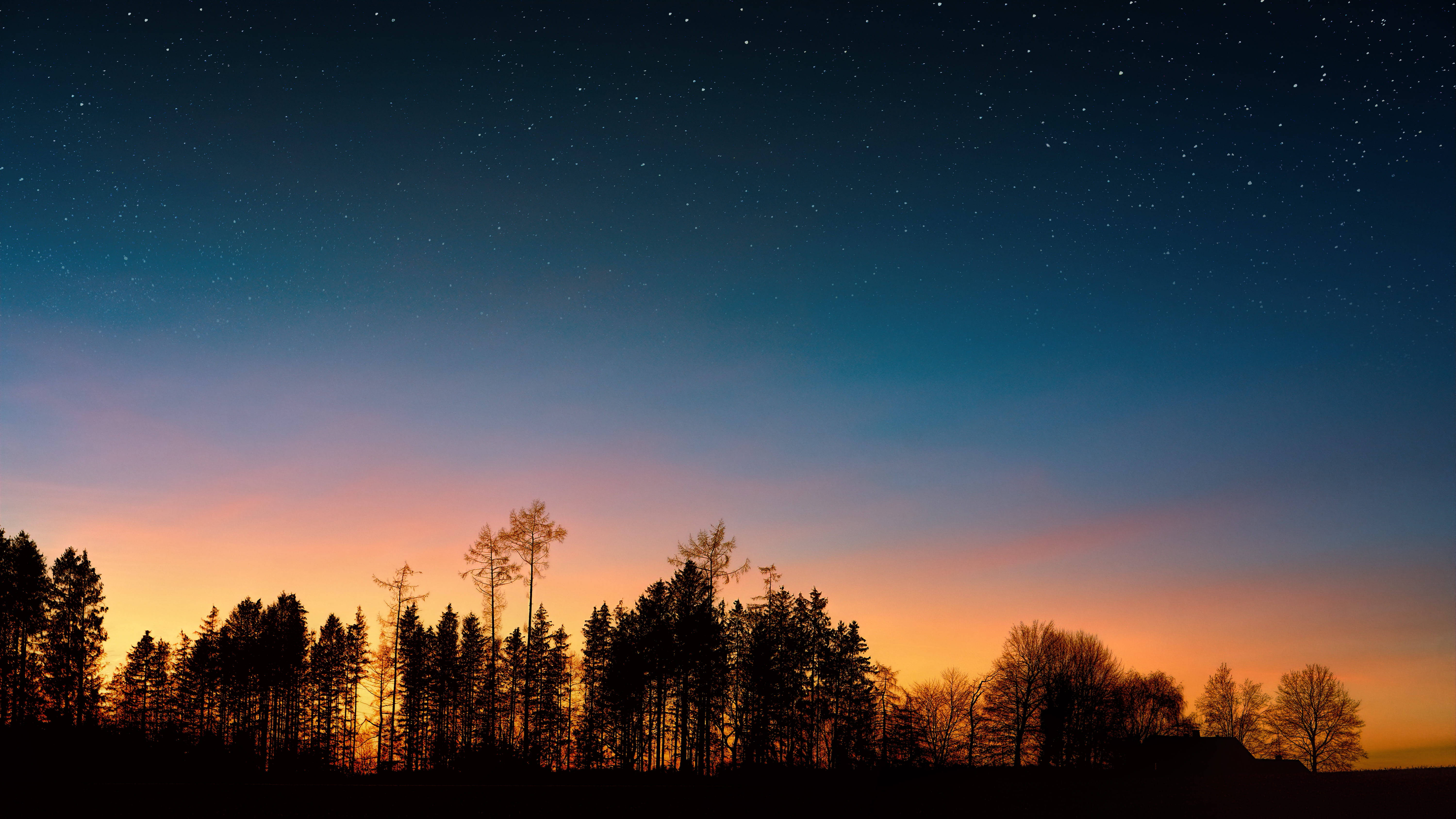 Starry Sunset Forest, twilight sky, orange to deep blue, 5K Desktop Wallpaper