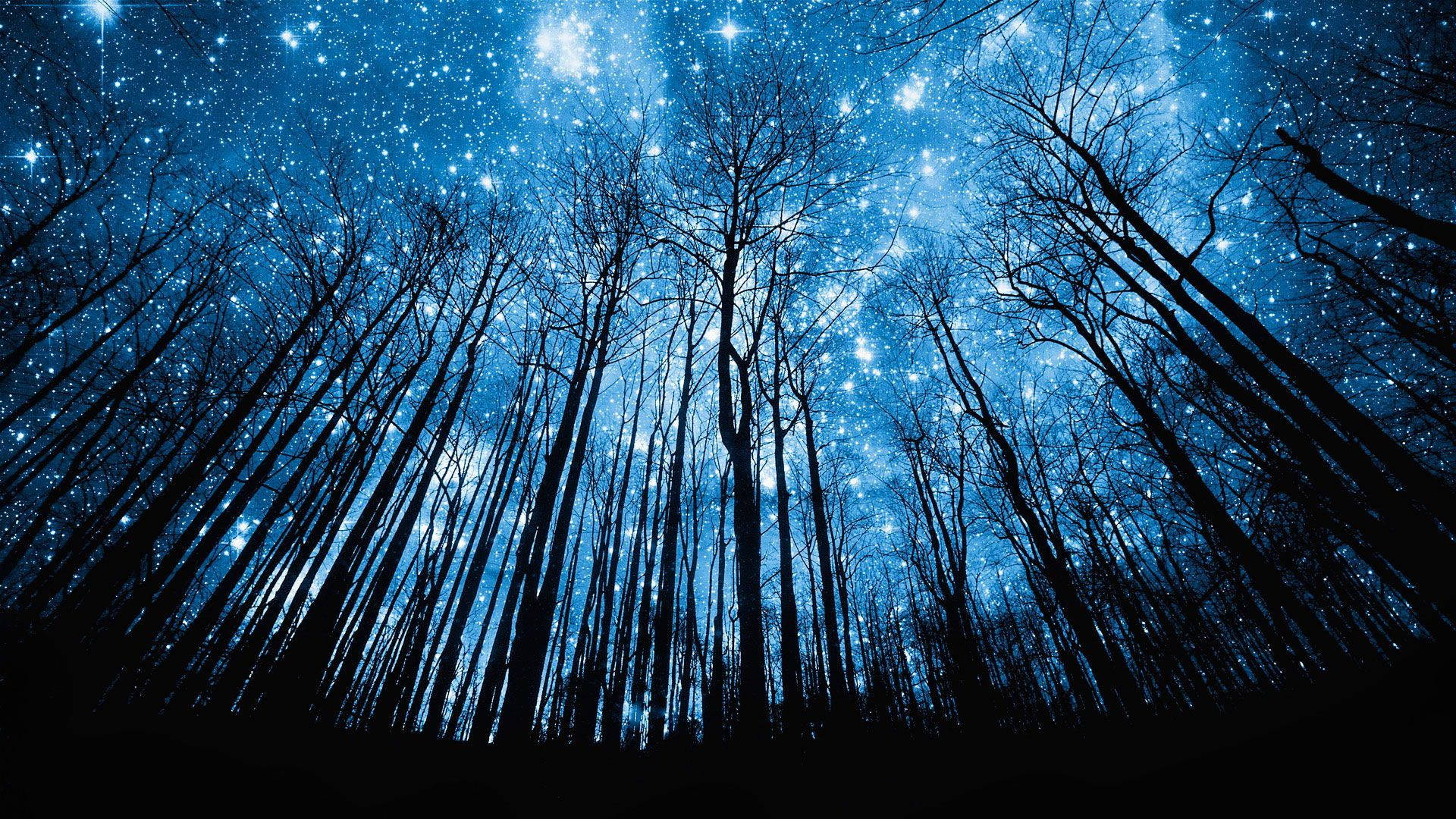 starry night sky, cosmic blue light, silhouetted trees, Full HD Desktop Wallpaper