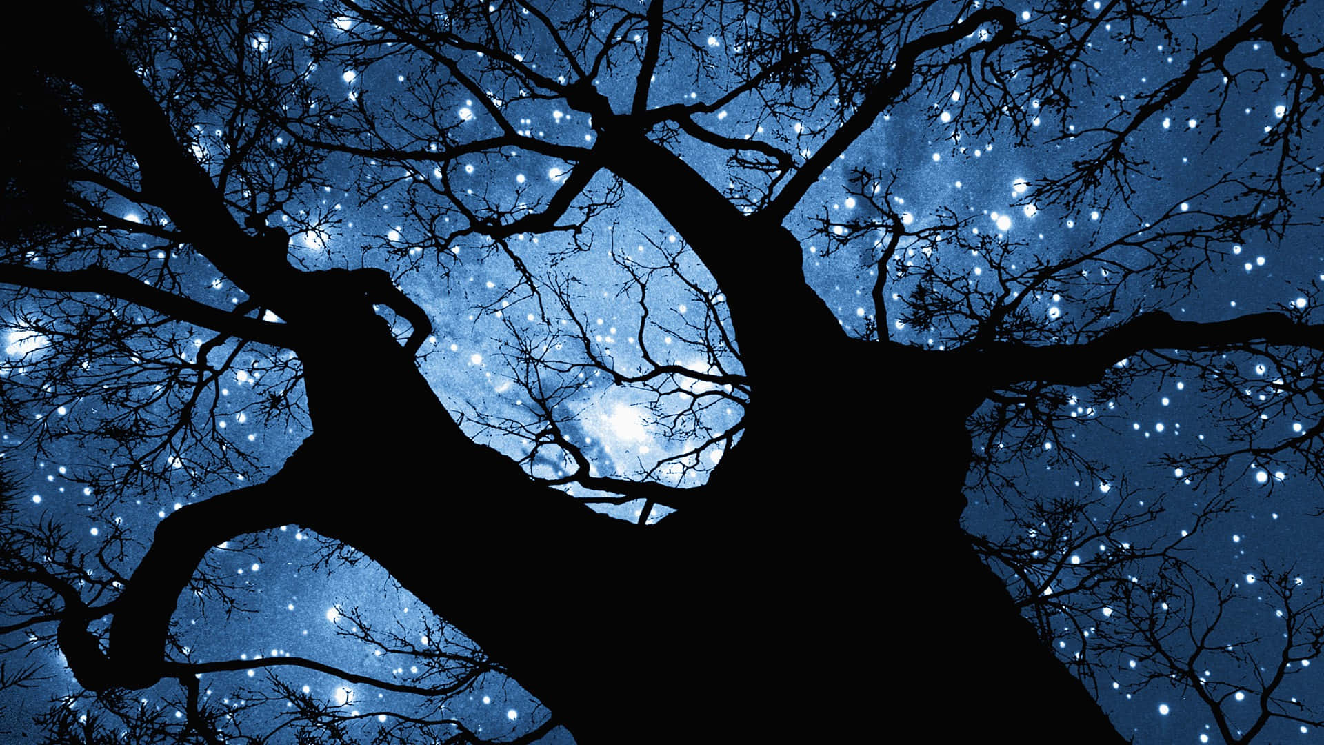 Stars Computer, starry night sky, glowing celestial lights, Full HD Desktop Wallpaper
