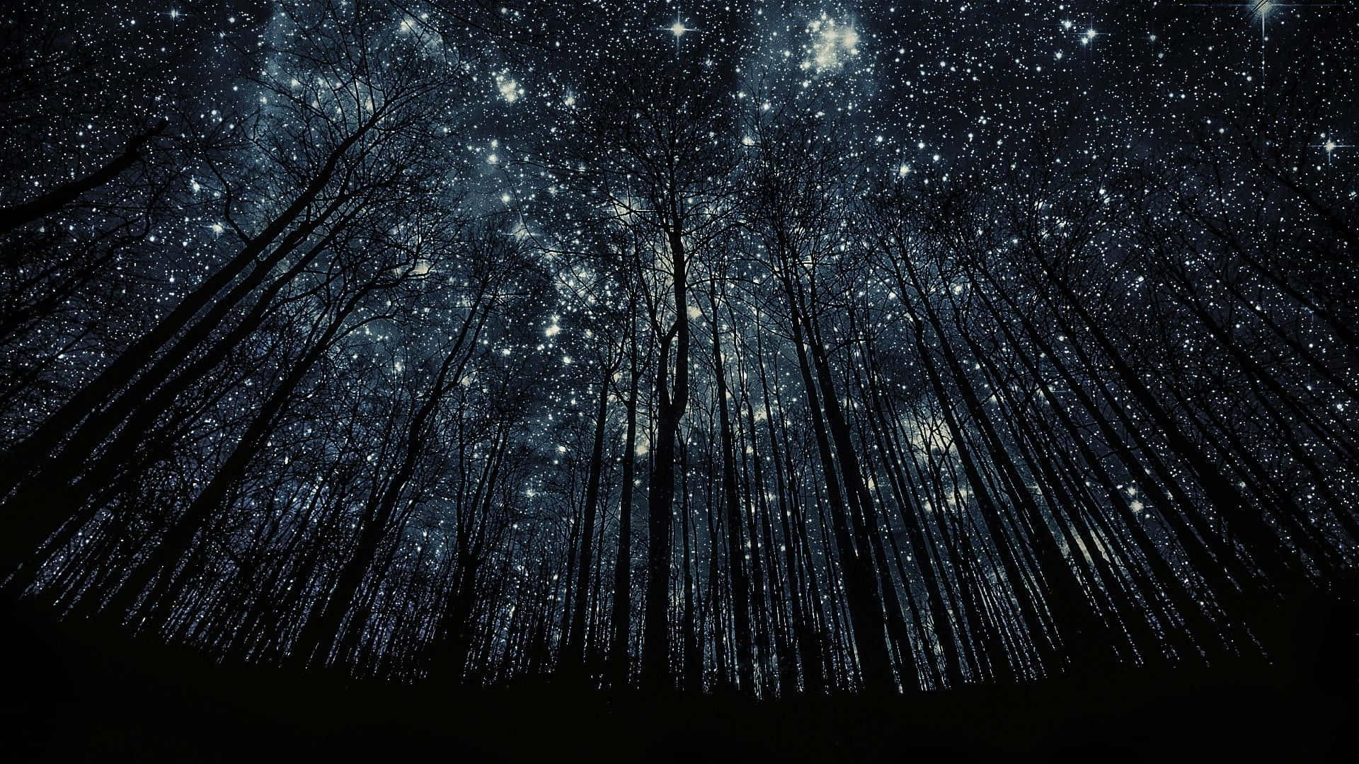 Stars Computer, starry night sky, glowing celestial bodies, Full HD Desktop Wallpaper