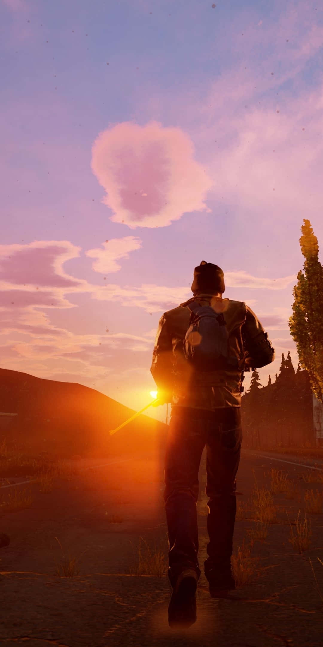State Of Decay 2, sunset, road, Full HD Phone Wallpaper
