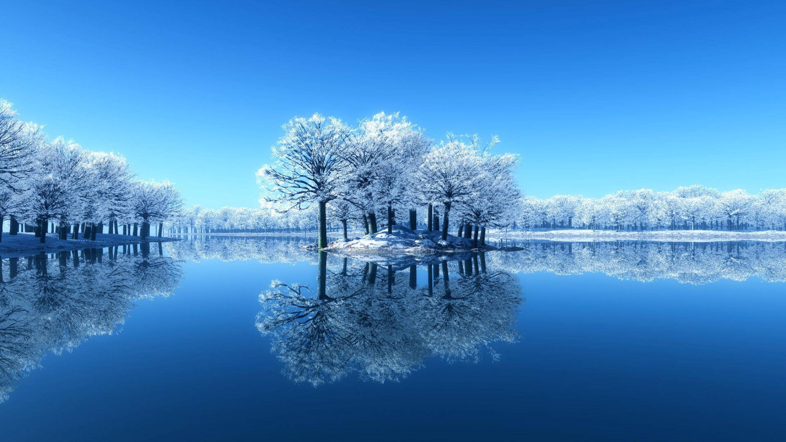 Static, snowy trees, frozen lake, 2K Desktop Wallpaper