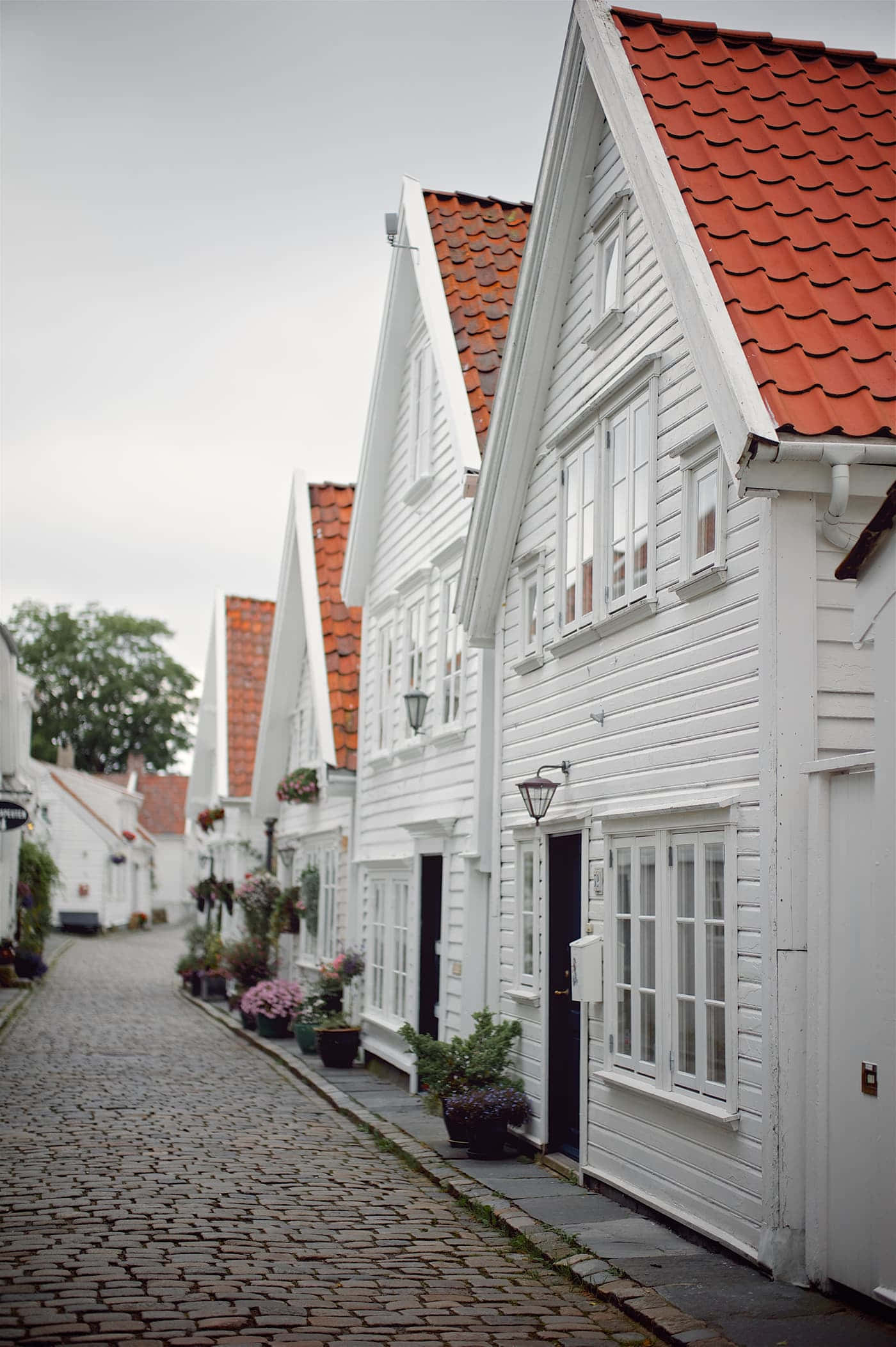 Stavanger, traditional Norwegian houses, cobblestone street, Full HD Phone Wallpaper
