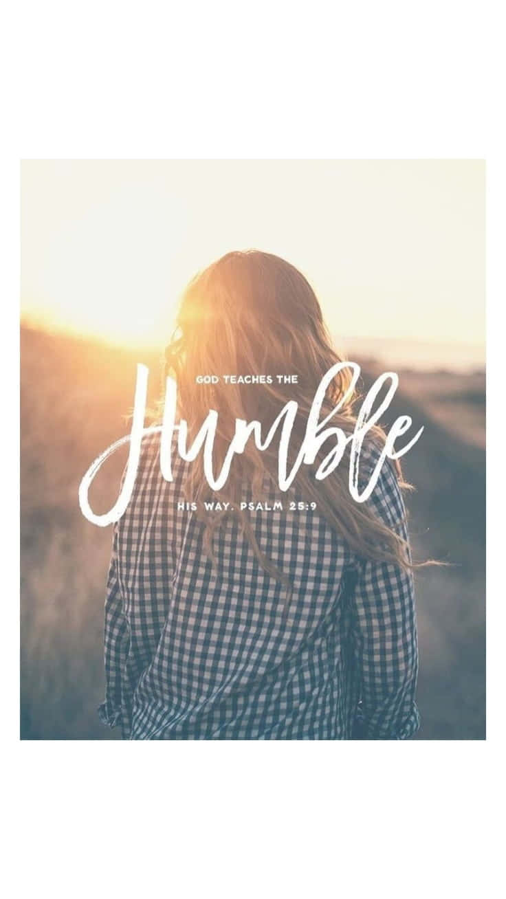 Stay Humble, golden sunset, field, HD Phone Wallpaper