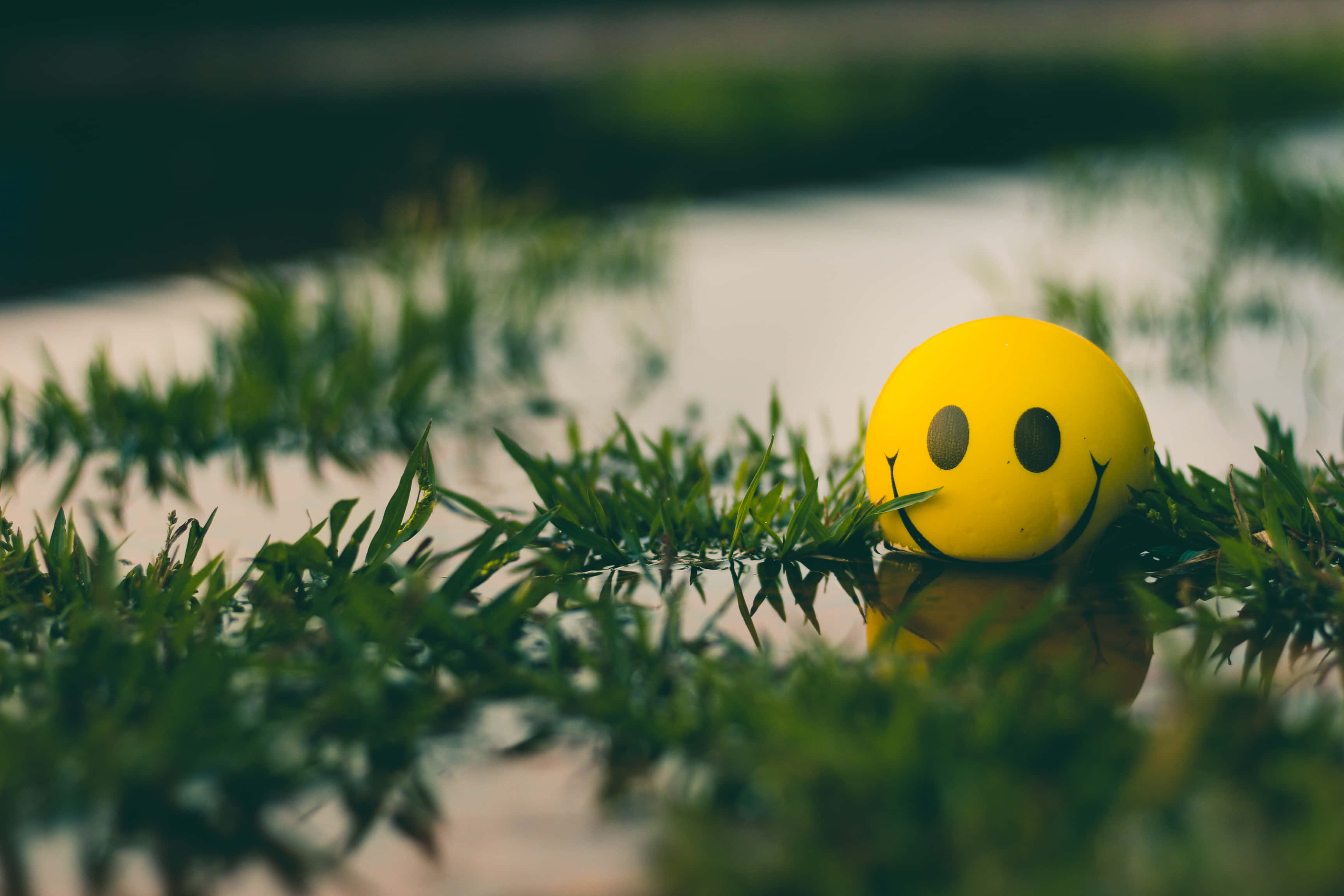 yellow smiley face, green grass, calm water, 2K Desktop Wallpaper