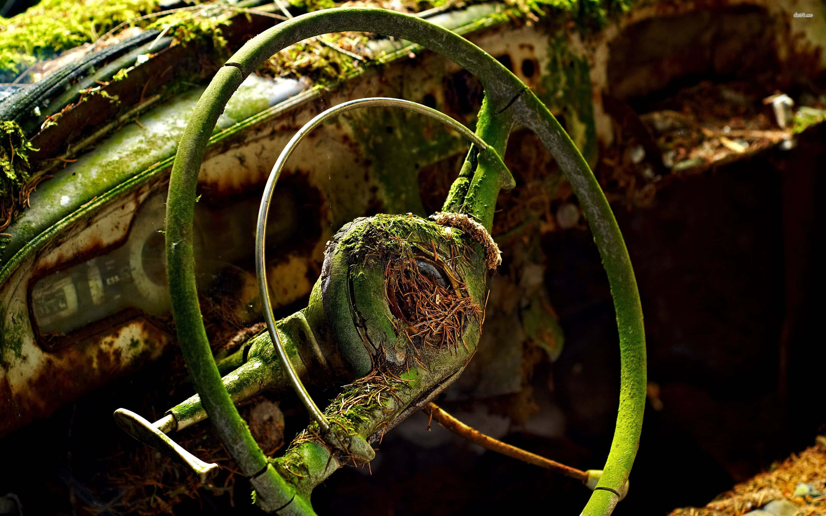 vintage car steering wheel, moss-covered, rusted metal, 2K Desktop Wallpaper