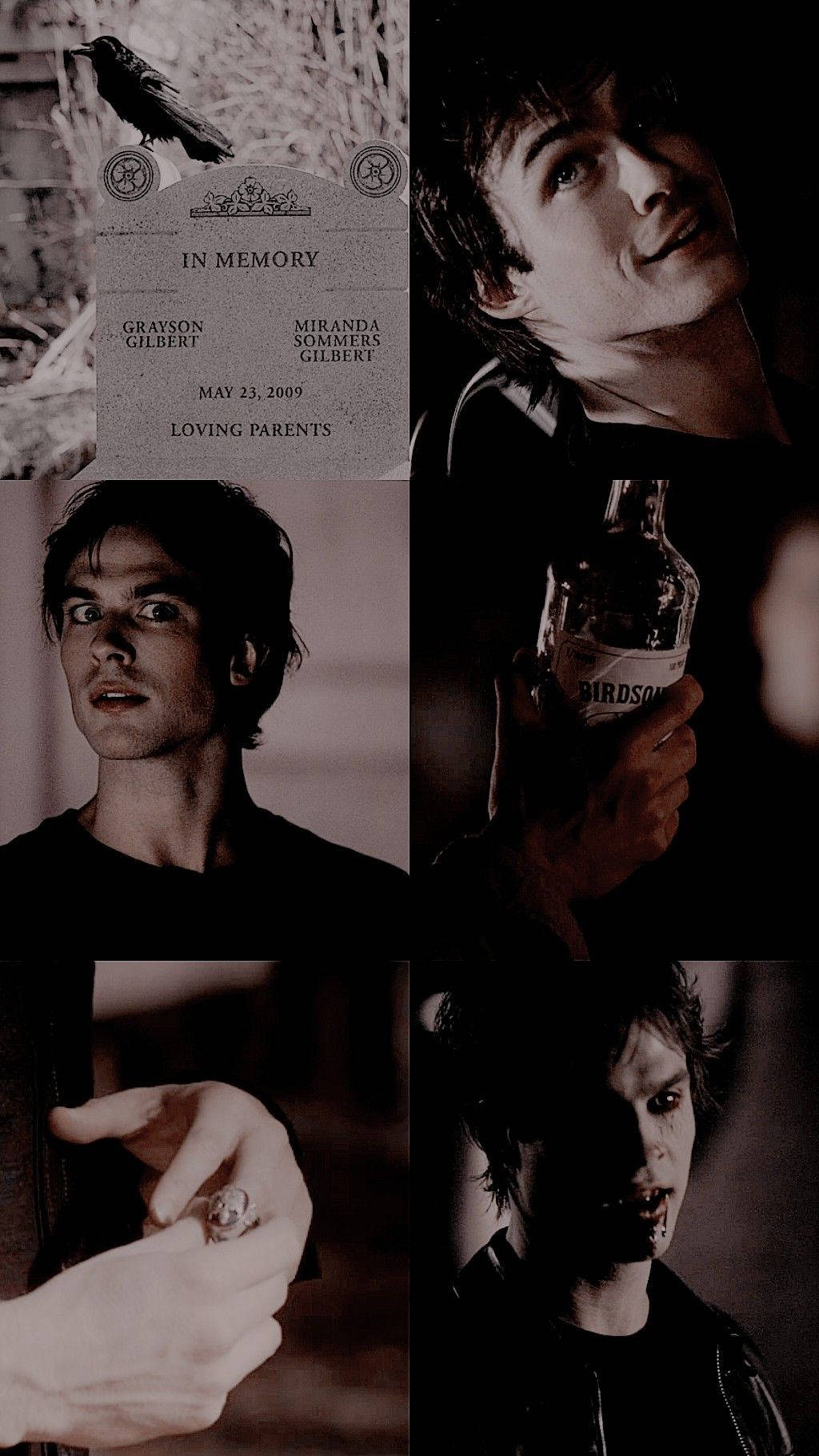 Stefan Salvatore, black and white collage, vampire traits, HD Phone Wallpaper