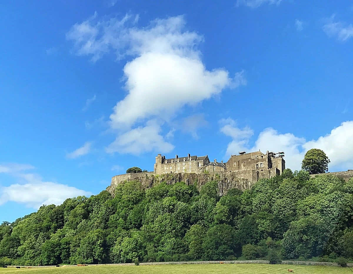 Sterling Castle, stone castle, lush green hill, SD Desktop Wallpaper