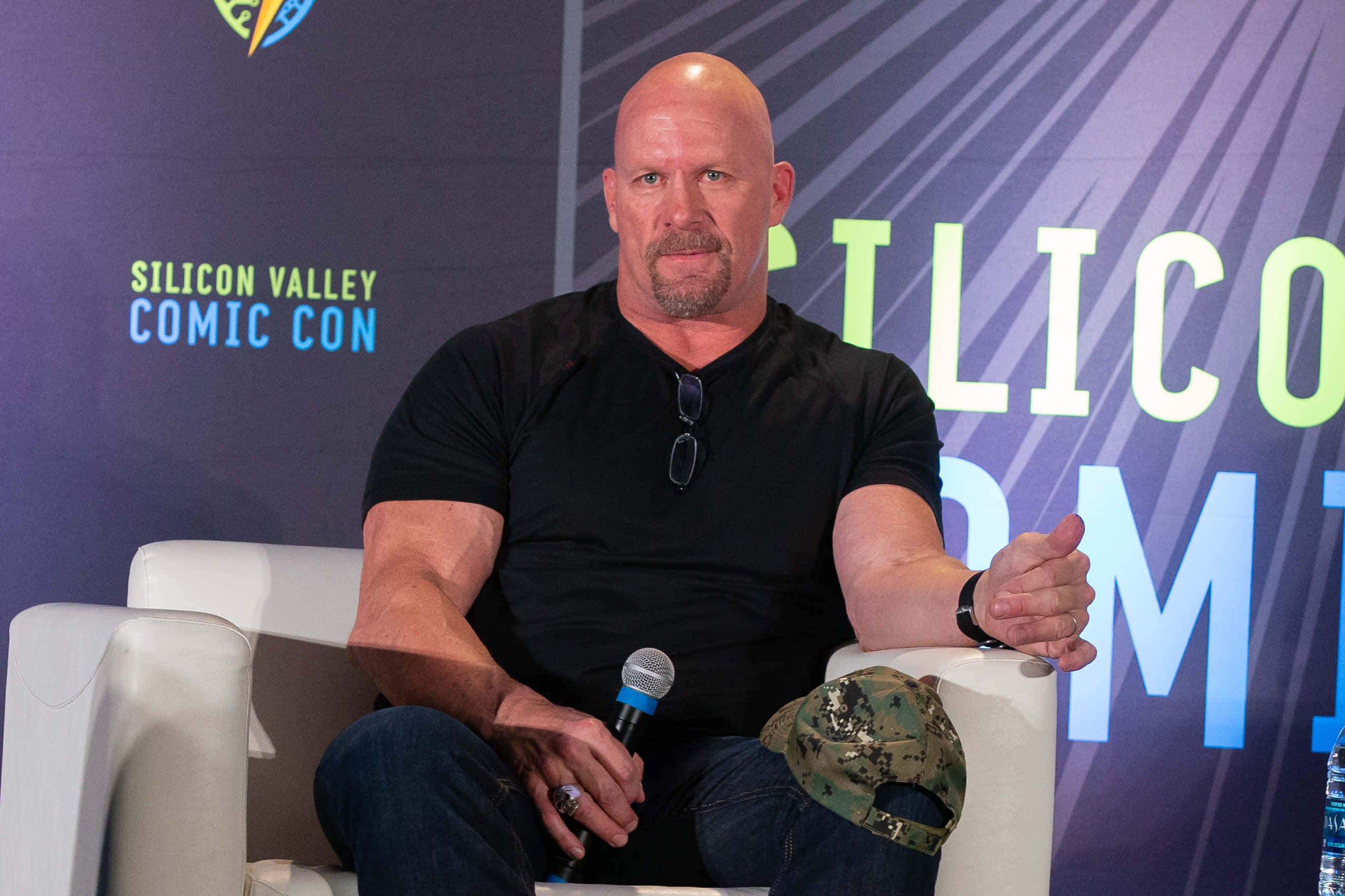 Steve Austin, TV personality, comic con panel, 2K Desktop Wallpaper