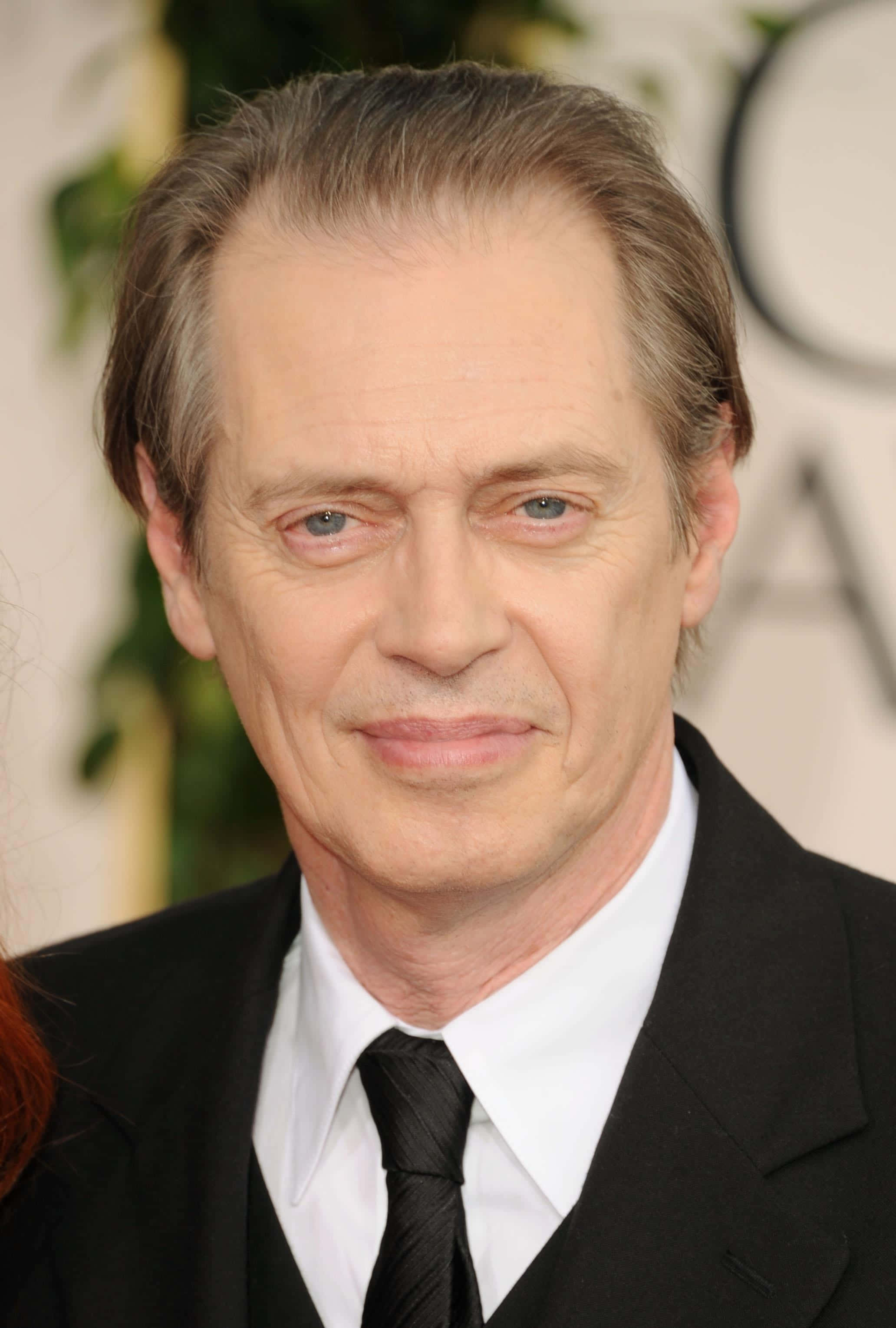 Steve Buscemi, gray hair, blue eyes, 2K Phone Wallpaper