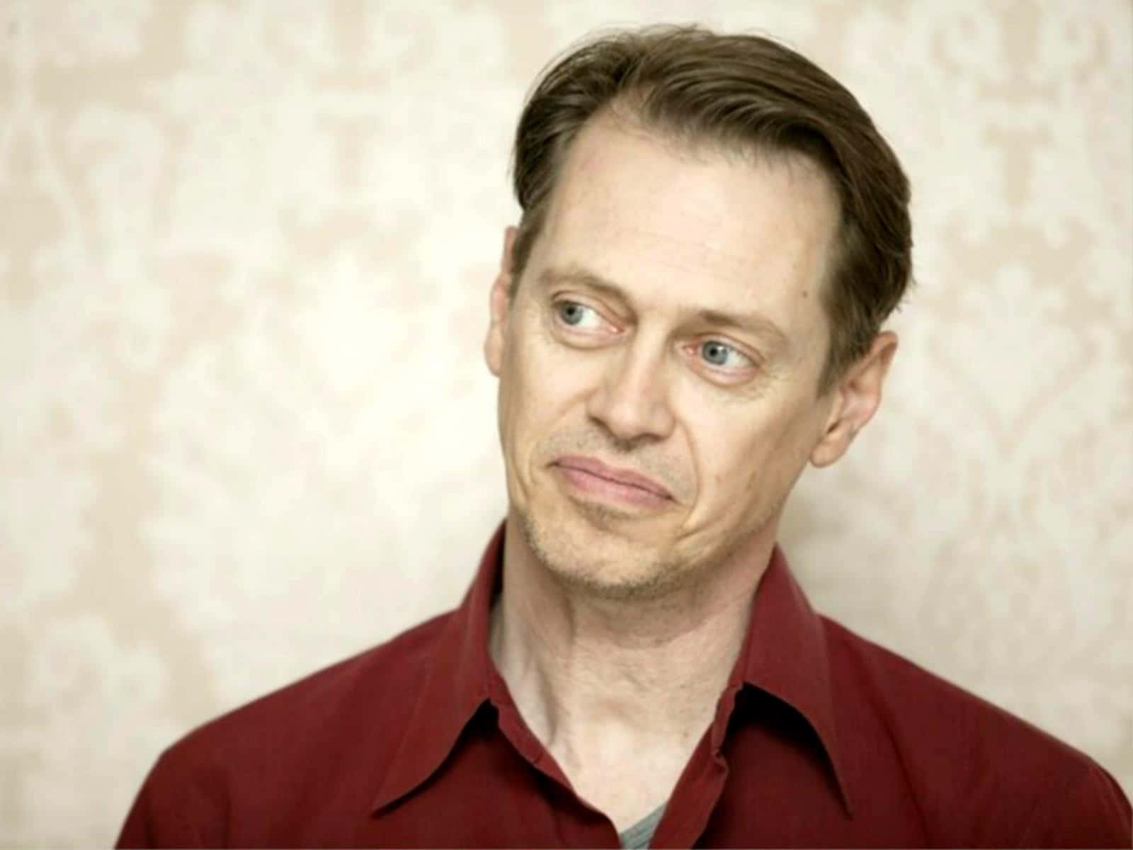 Steve Buscemi, red shirt, skeptical expression, HD Desktop Wallpaper