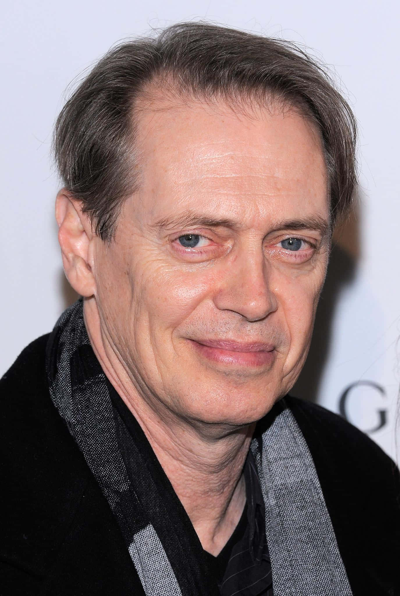 Steve Buscemi, gray hair, blue eyes, Full HD Phone Wallpaper