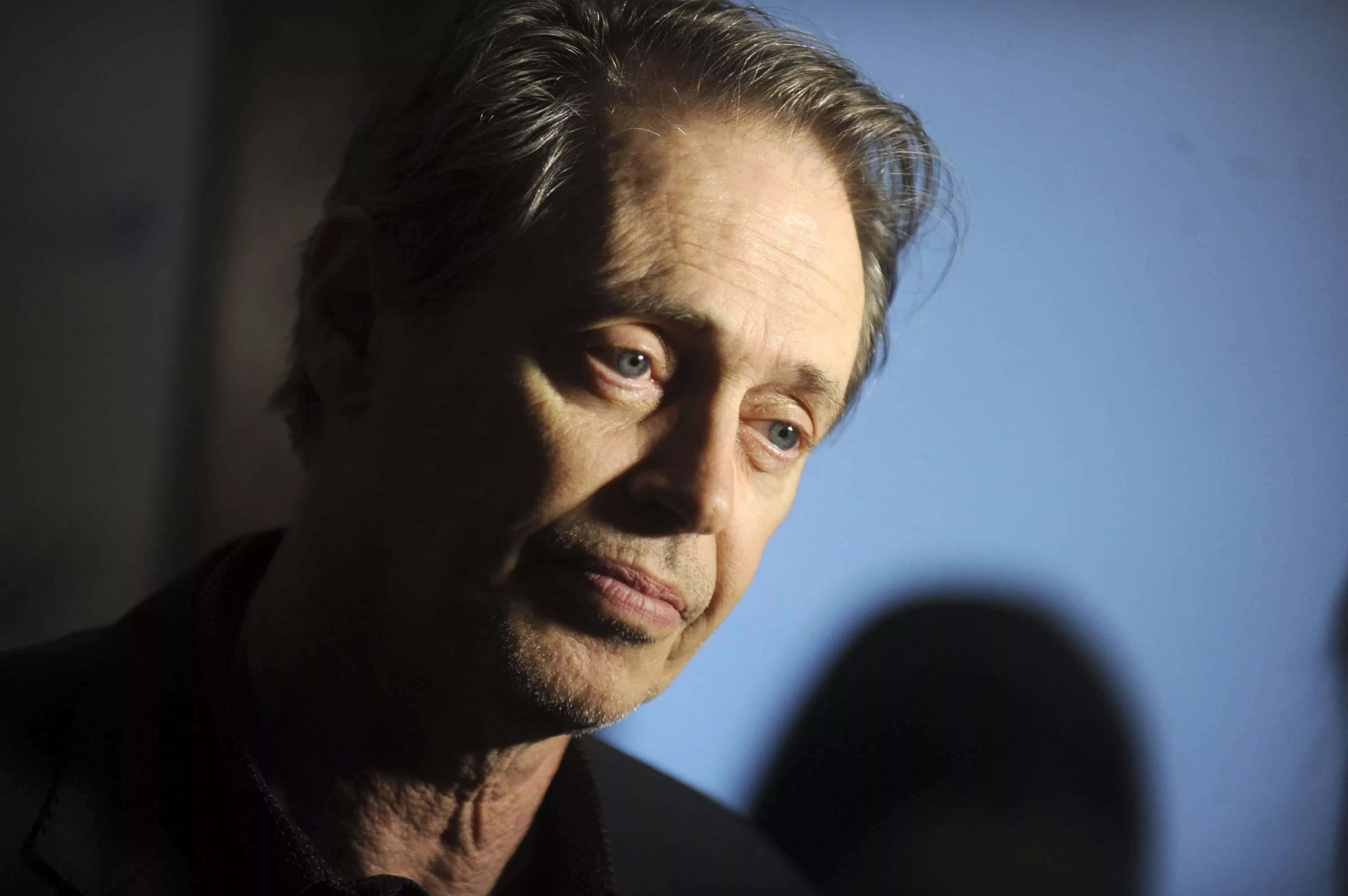 Steve Buscemi, red carpet, gray hair, 2K Desktop Wallpaper
