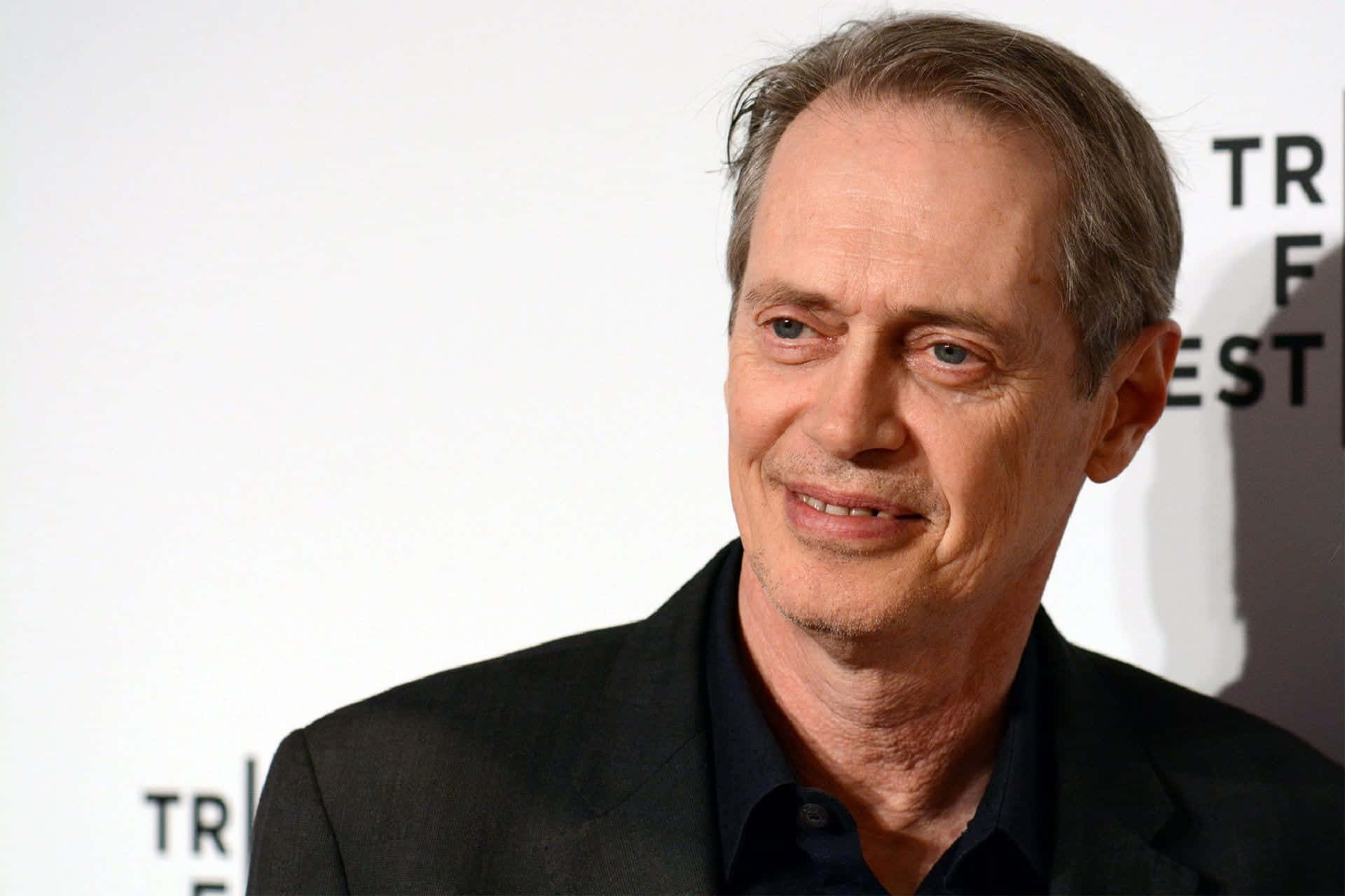 Steve Buscemi, gray hair, blue eyes, Full HD Desktop Wallpaper