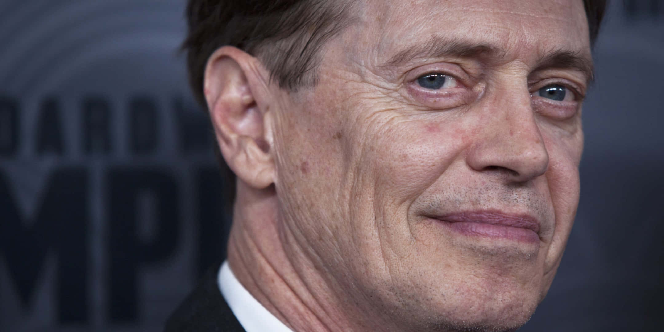 Steve Buscemi, close-up portrait, subtle smile, Full HD Desktop Wallpaper