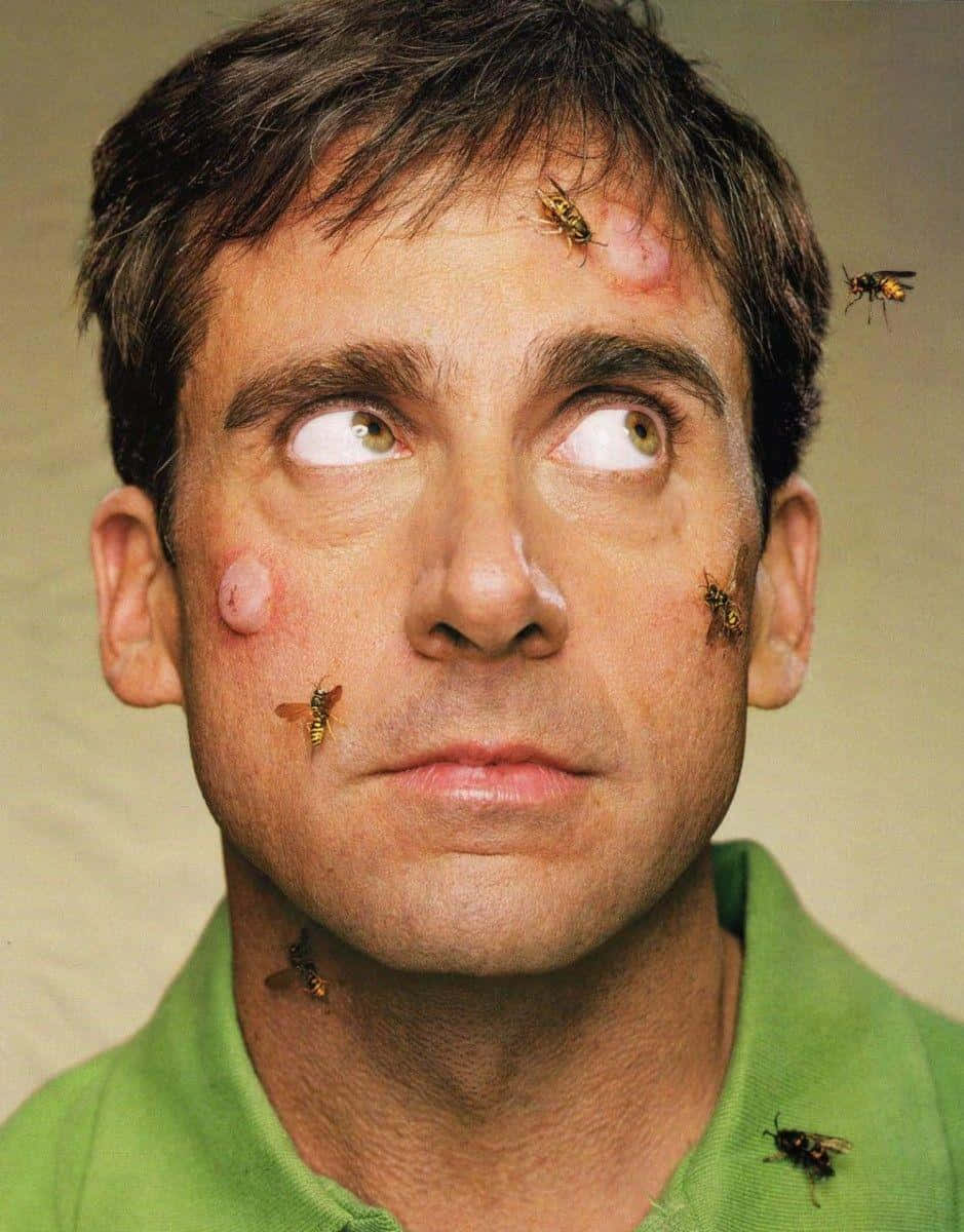 Steve Carell, green polo shirt, angry wasps, SD Phone Wallpaper