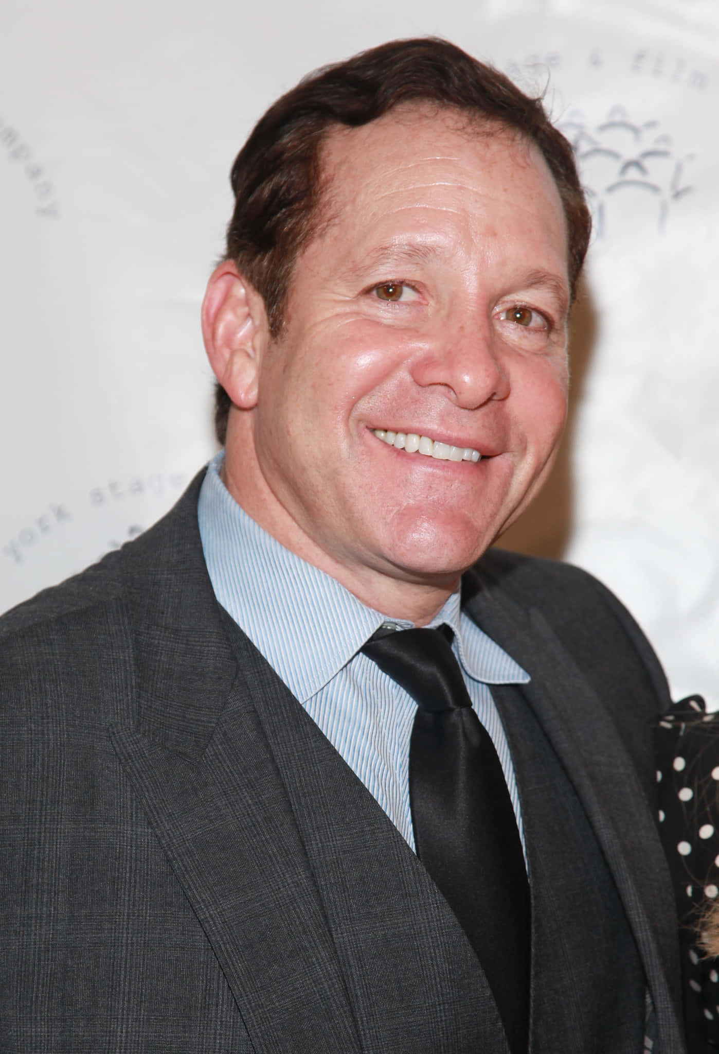 Steve Guttenberg, gray suit, black tie, Full HD Phone Wallpaper