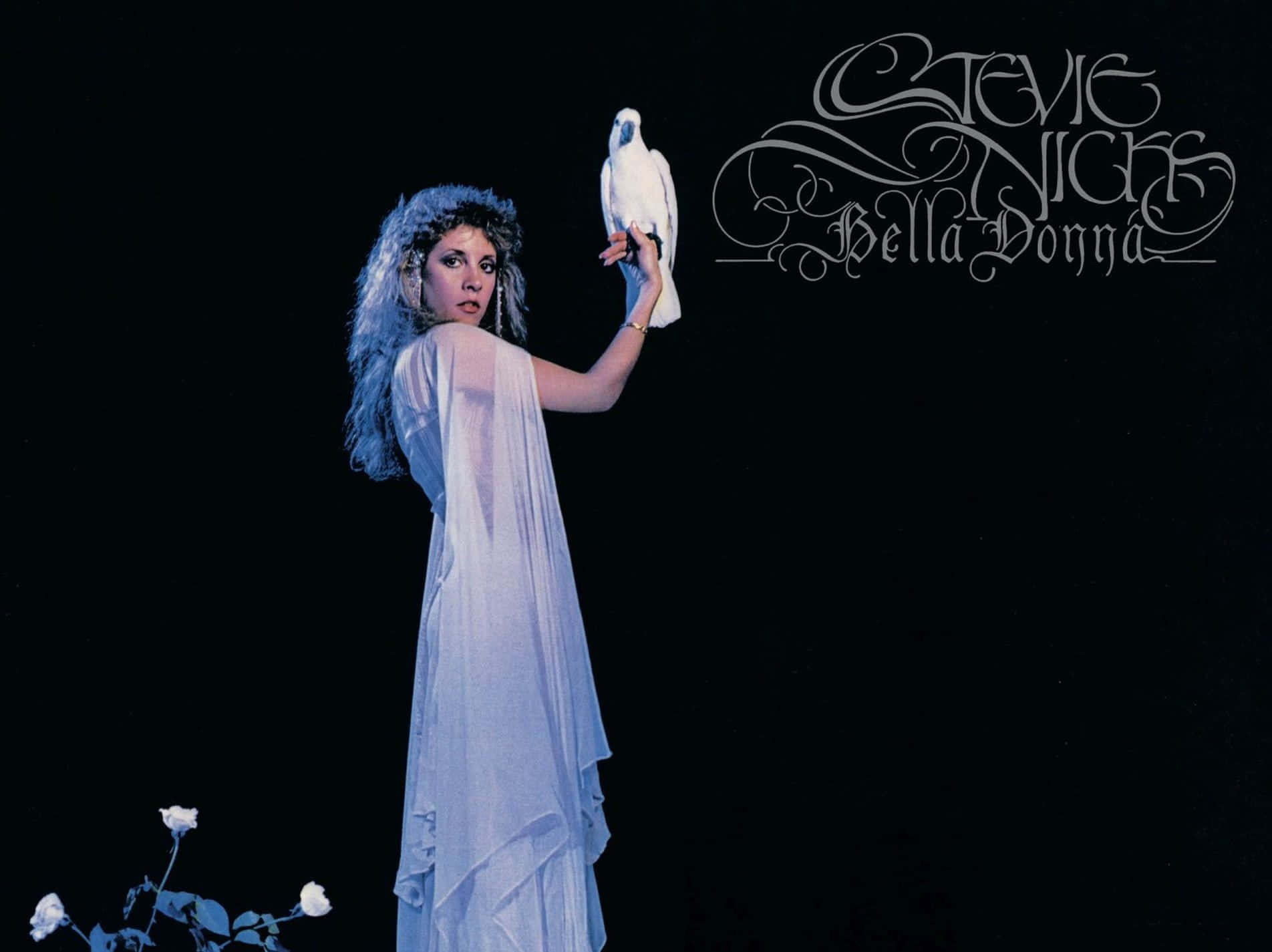 Stevie Nicks, flowing white gown, white bird, HD Desktop Wallpaper