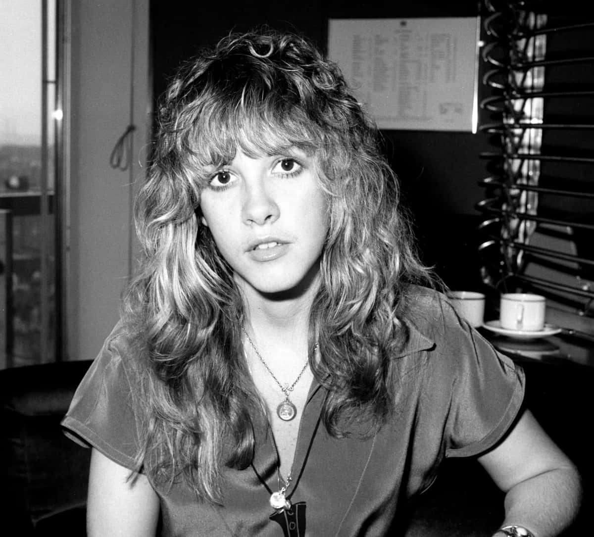 Stevie Nicks, black and white portrait, voluminous curly hair, SD Desktop Wallpaper