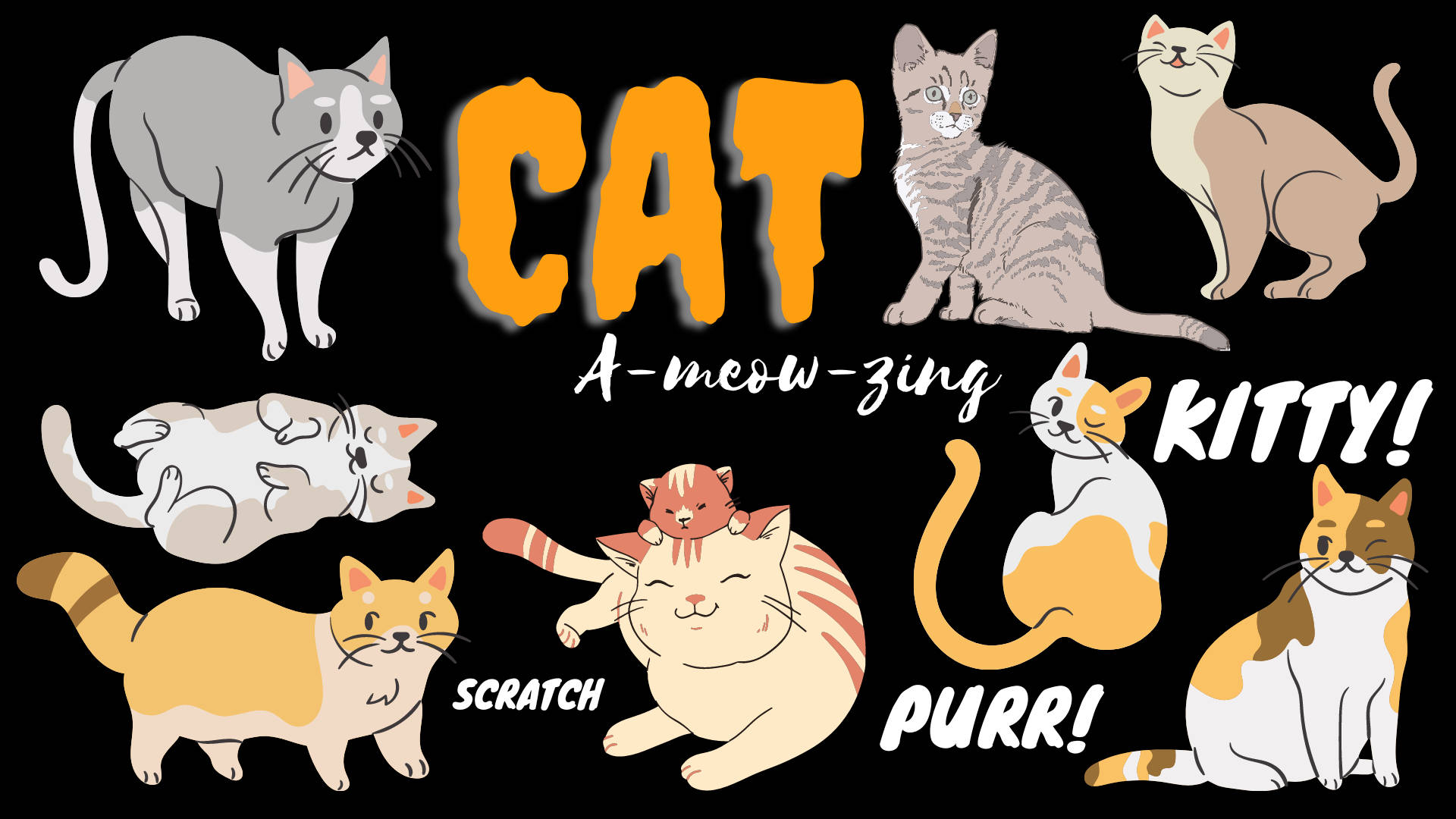 cute cat aesthetic, cartoon cats, bold text, Full HD Desktop Wallpaper