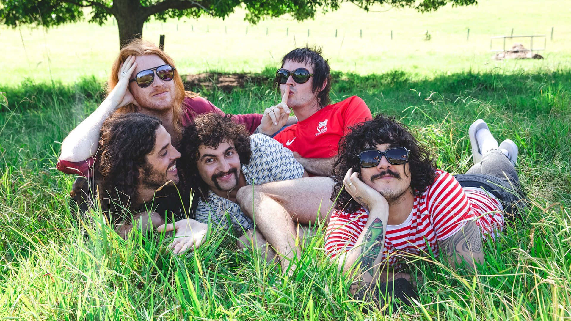 Sticky Fingers, sunglasses, tall green grass, Full HD Desktop Wallpaper