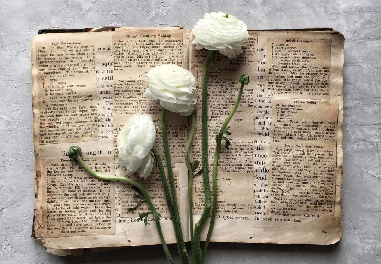 vintage cookbook, white flowers, green stems, SD Desktop Wallpaper
