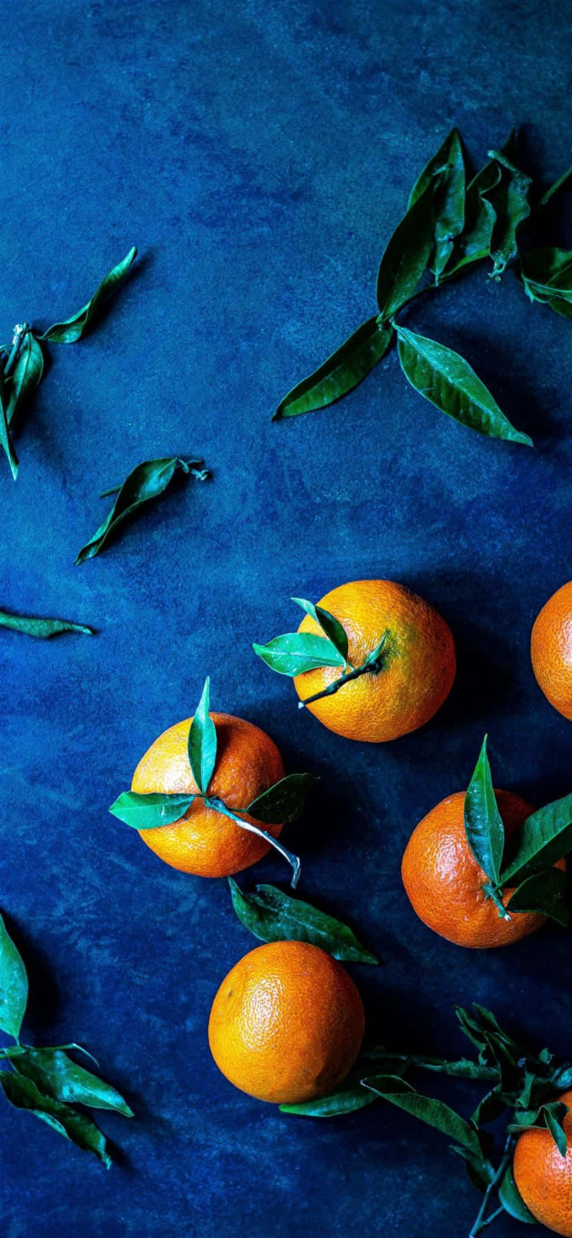 orange leaves, vibrant oranges, green leaves, HD Phone Wallpaper