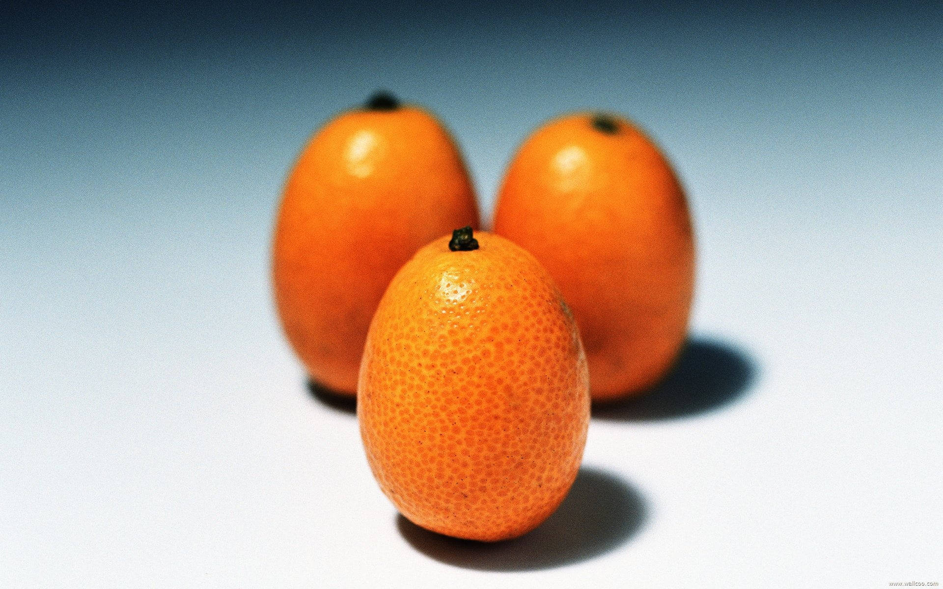 kumquat, orange, textured skin, Full HD Desktop Wallpaper