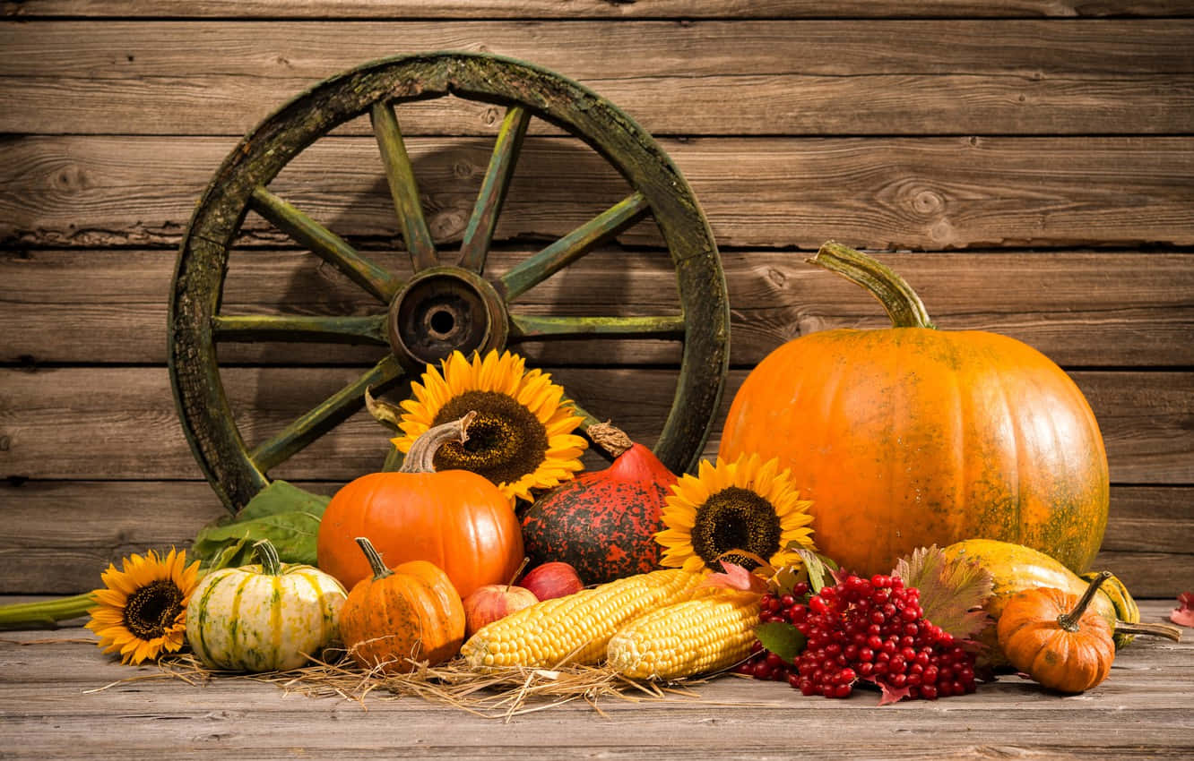 pumpkin, sunflowers, corn, HD Desktop Wallpaper