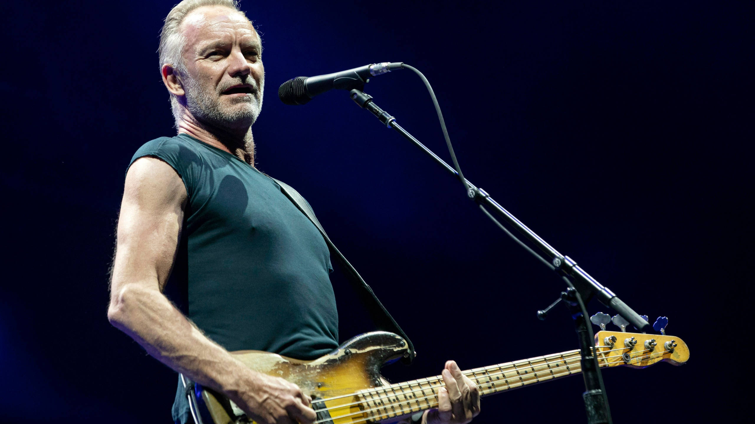 Sting, sunburst bass guitar, dark stage, 2K Desktop Wallpaper