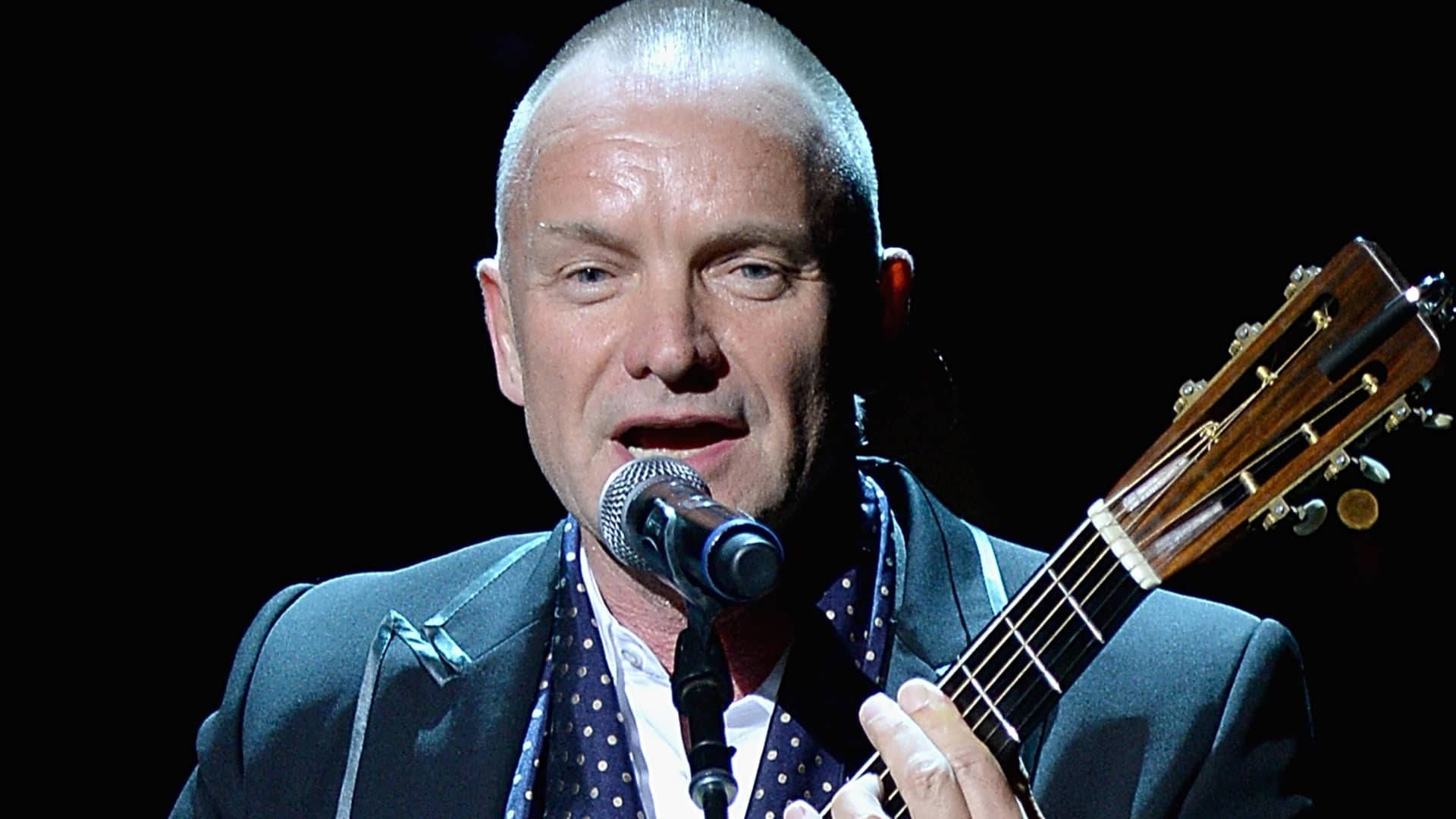Sting, singing artist, bald man, Full HD Desktop Wallpaper