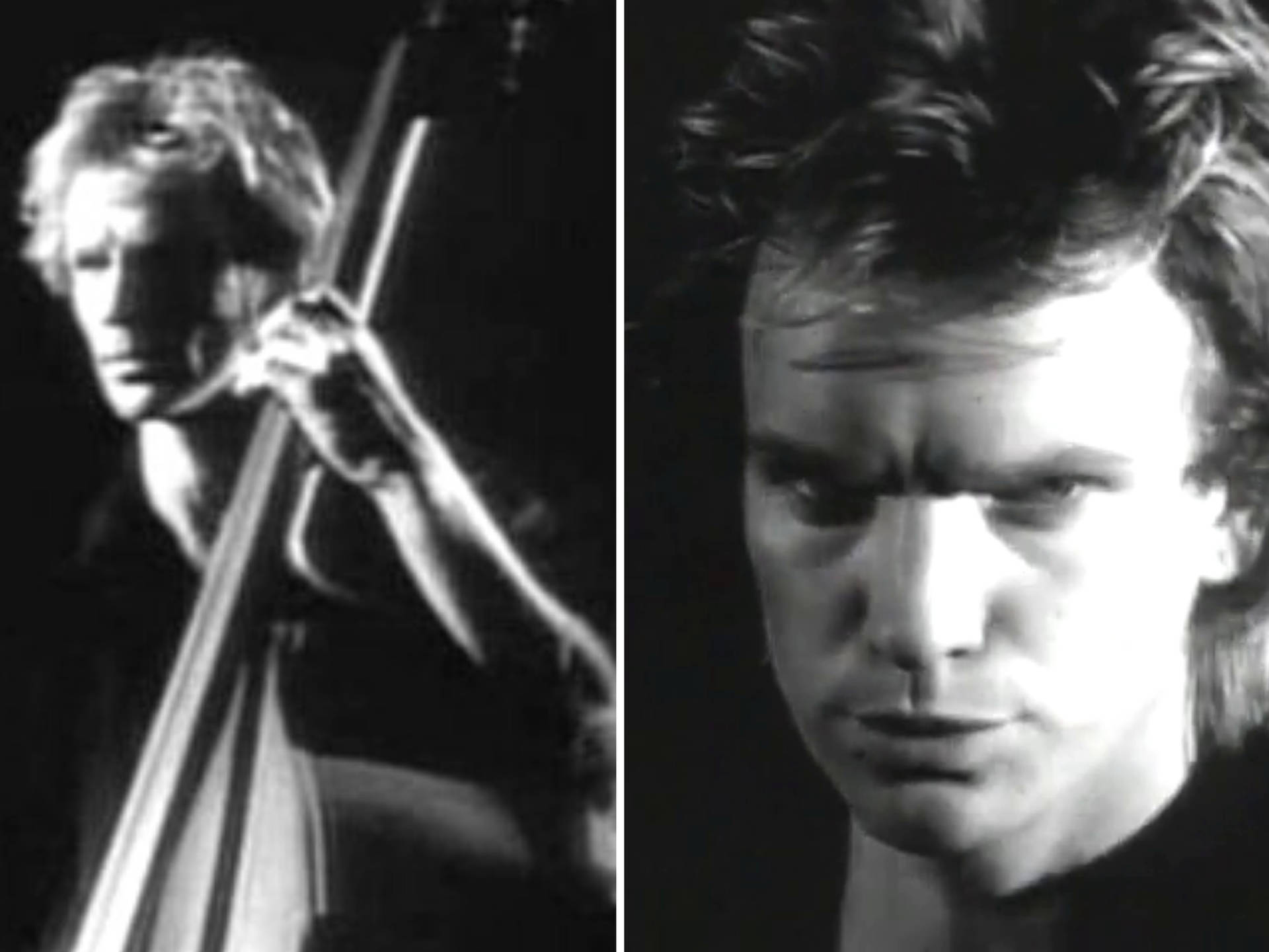Sting, cello, black and white, Full HD Desktop Wallpaper