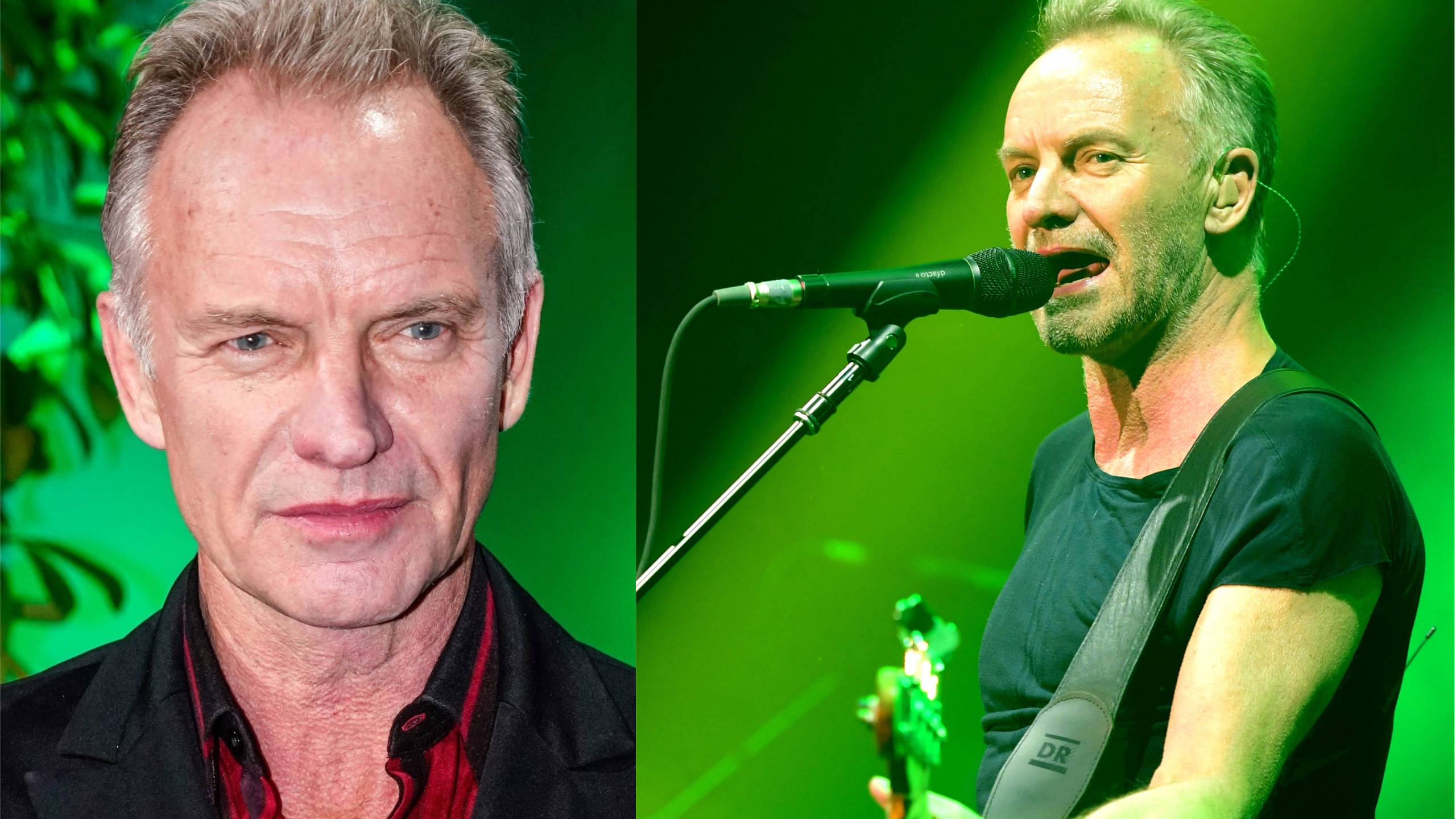 Sting, green background, studio, 2K Desktop Wallpaper