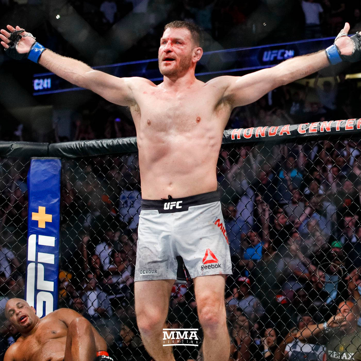 Stipe Miocic, MMA fighter, octagon, HD Desktop Wallpaper