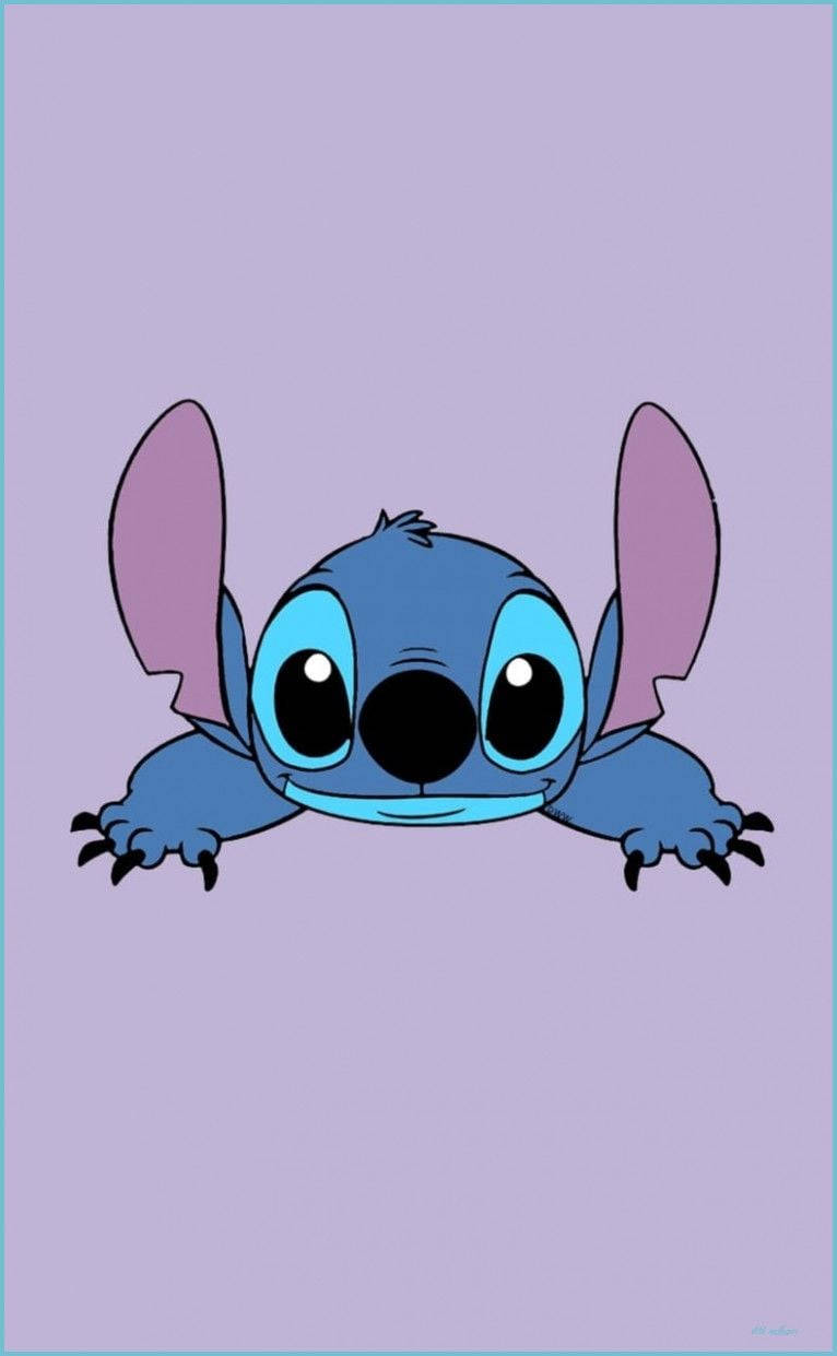 Stitch, blue, koala, SD Phone Wallpaper