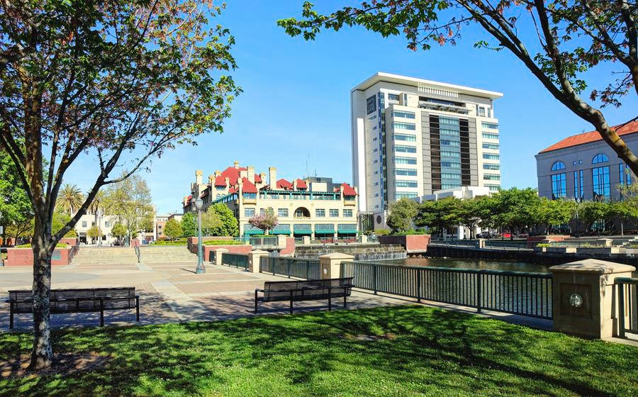 Stockton, Sunlit urban park, green grass, SD Desktop Wallpaper