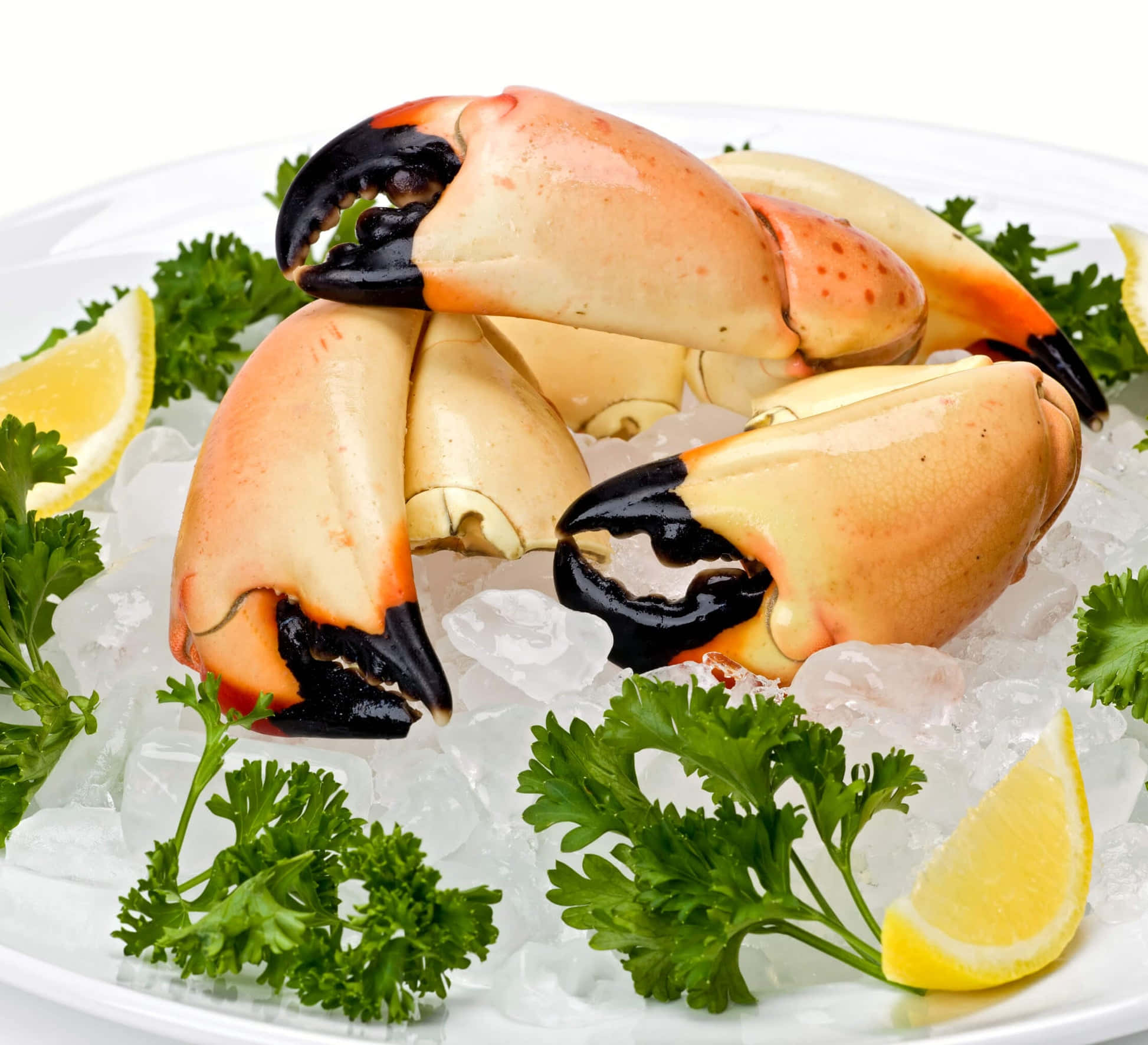 Stone Crab, crushed ice, parsley, Full HD Desktop Wallpaper