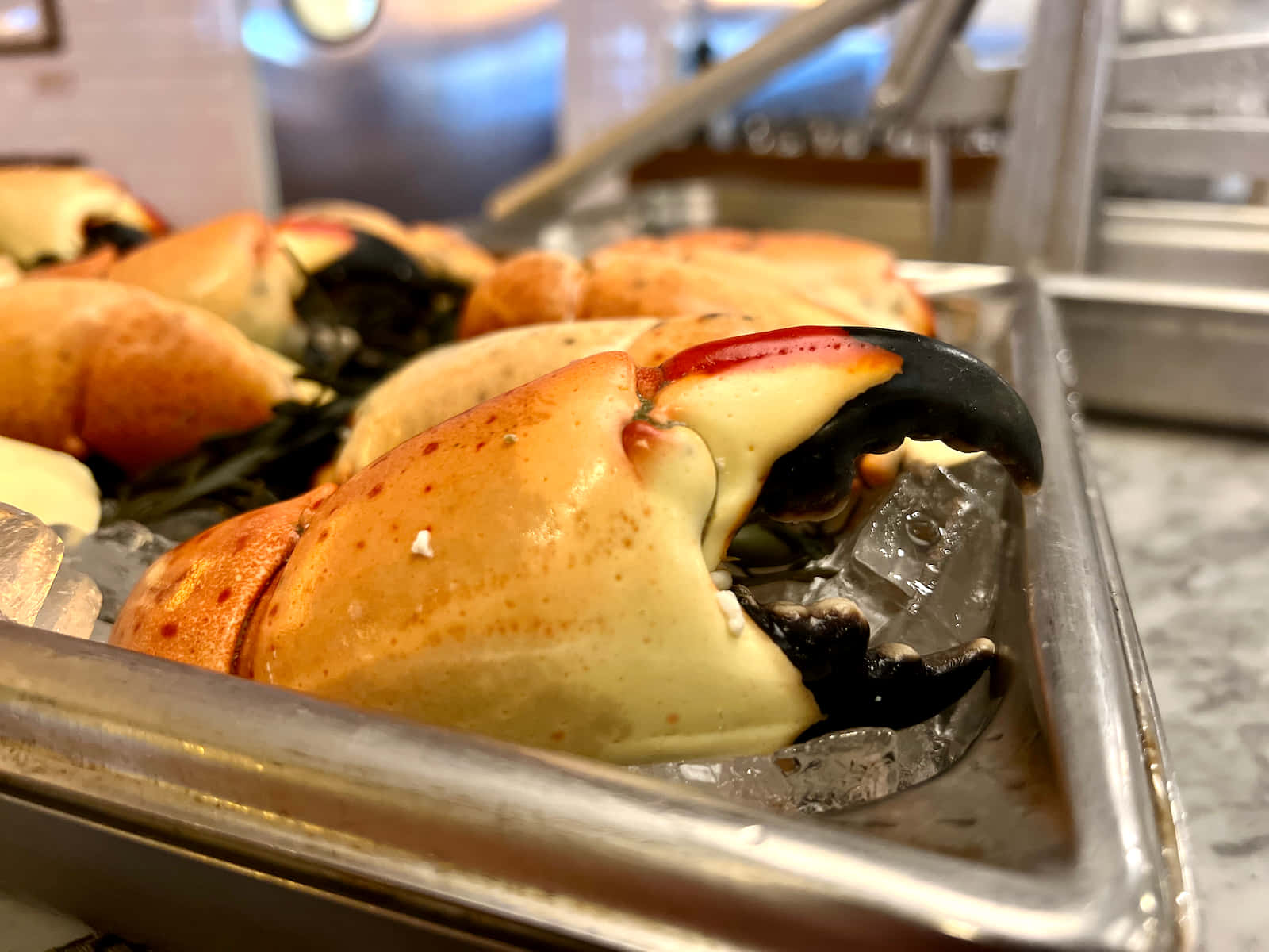 Stone Crab, clawson, ice, HD Desktop Wallpaper